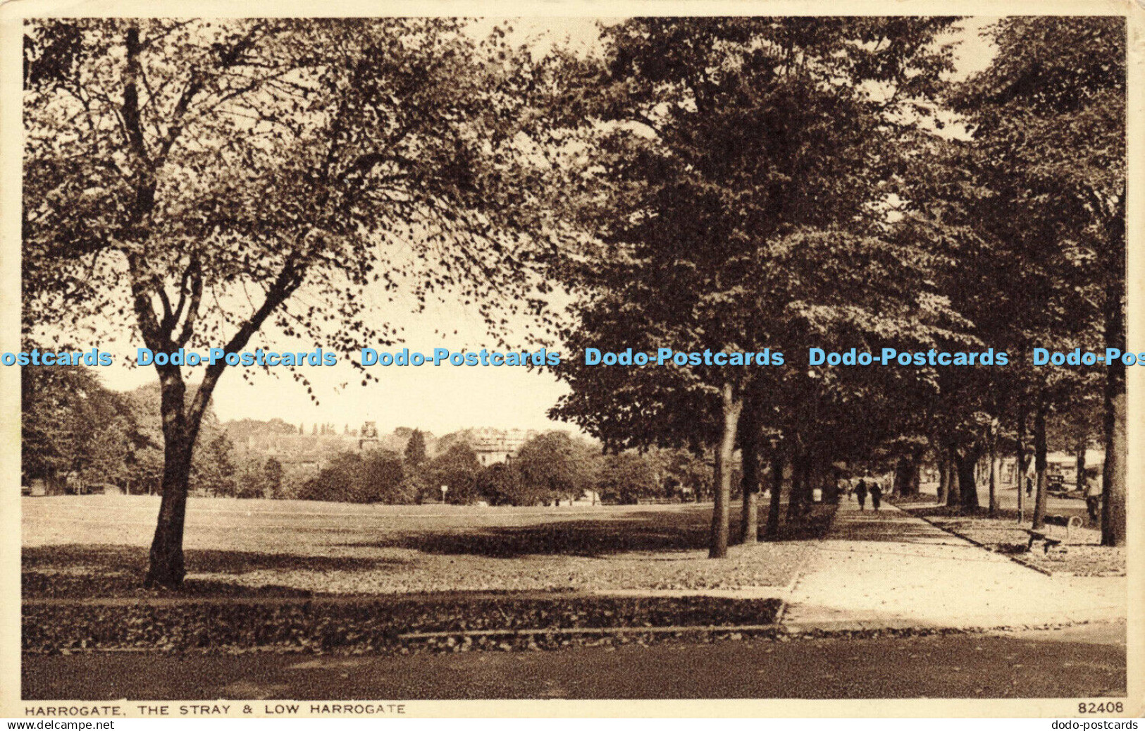 R592017 Harrogate Stray and Low Harrogate 82408 Photochrom 1941