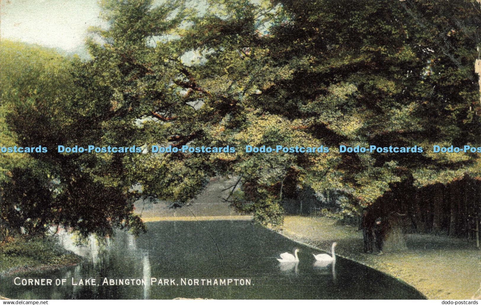 R592771 Corner of Lake Abington Park Northampton Montgomery 1908