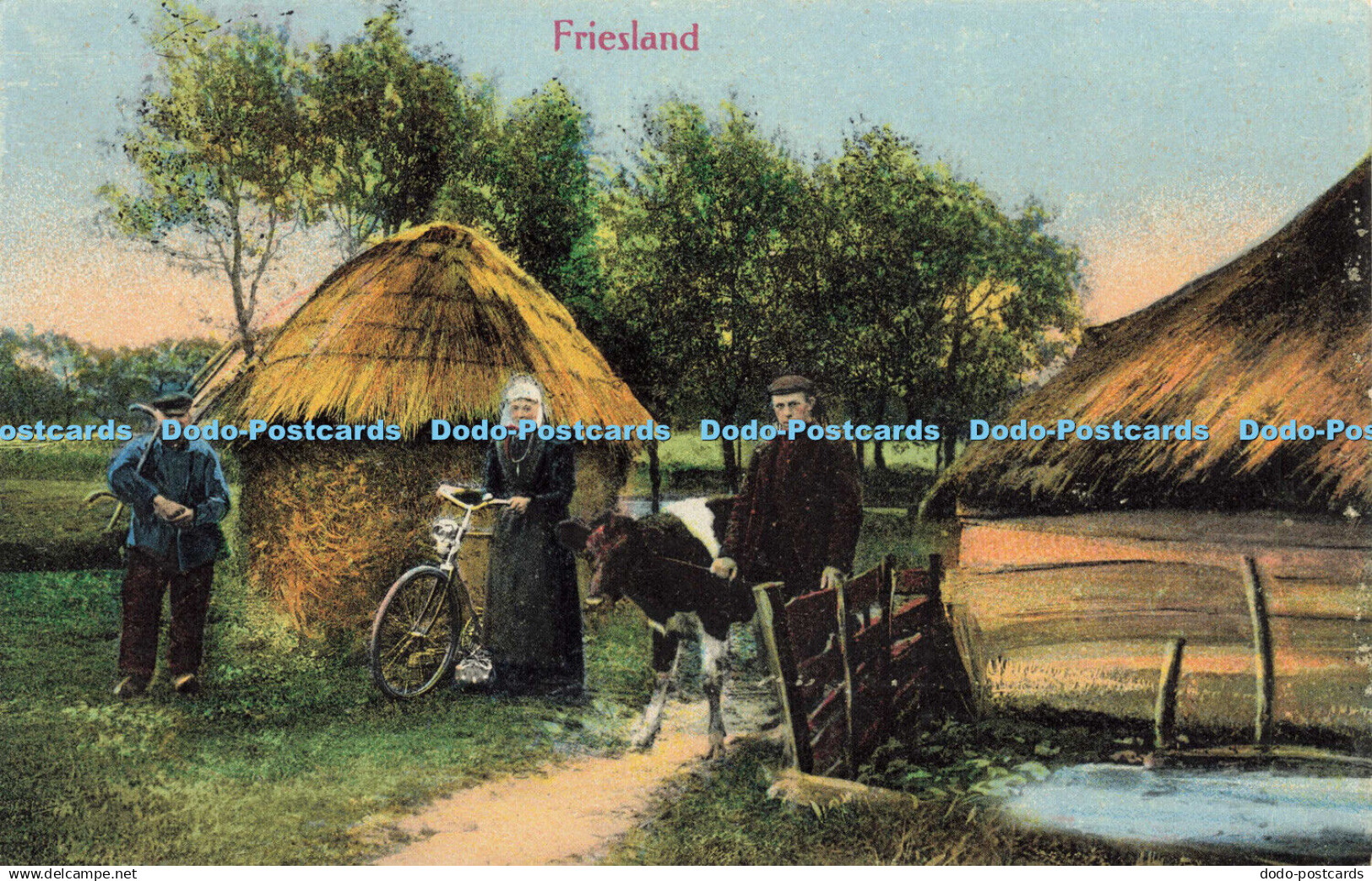 R593612 Friesland Deyhle Series No 11