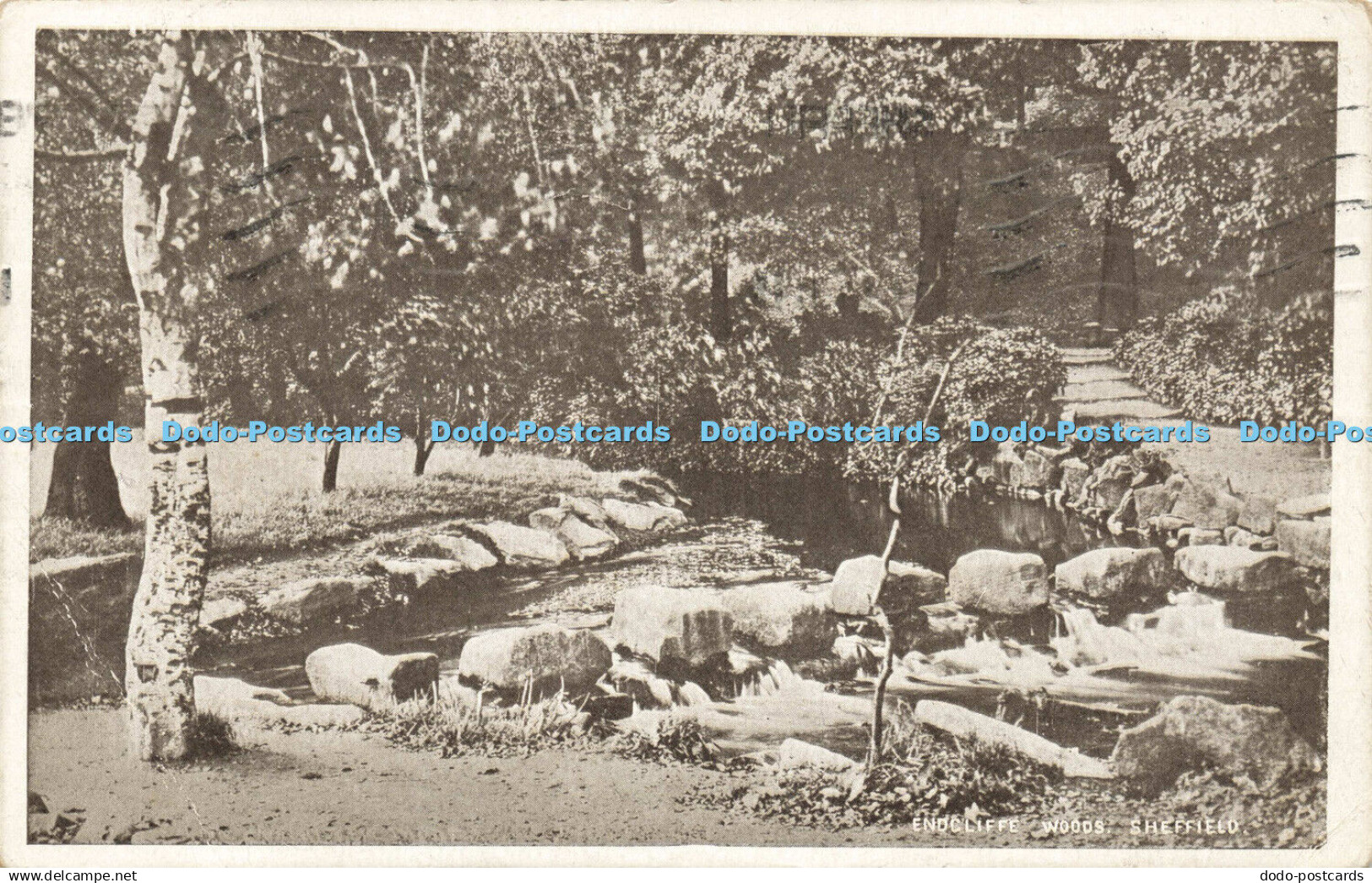 R598394 Sheffield Endcliffe Woods