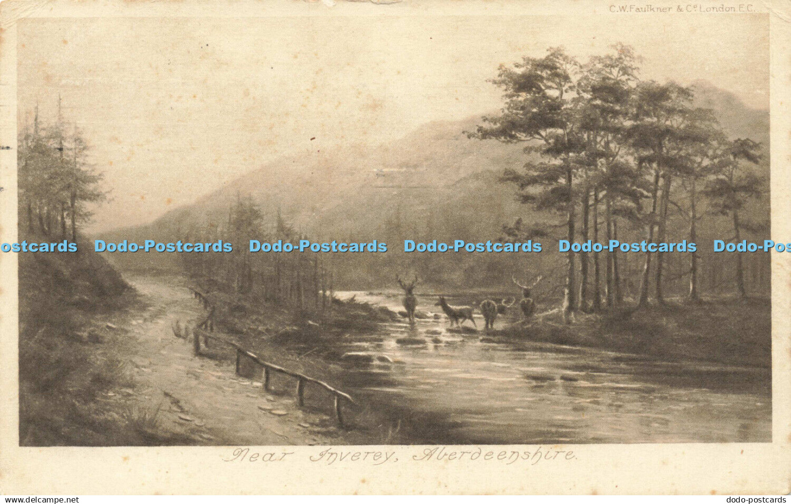 R598904 Aberdeenshire Near Inverey C W Faulkner 1905