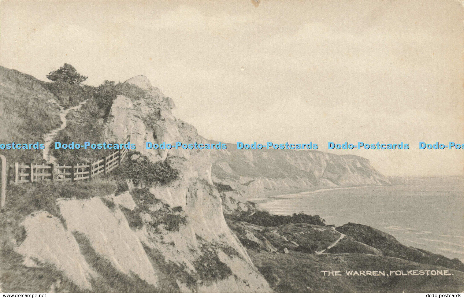 R599111 Folkestone The Warren Postcard