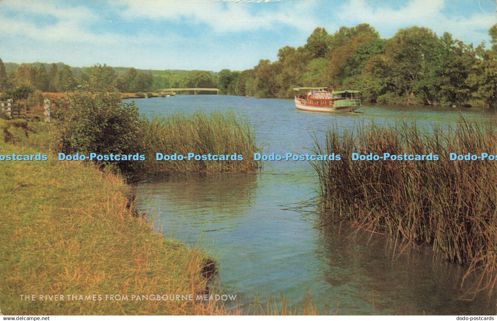 R616871 River Thames from Pangbourne Meadow Salmon