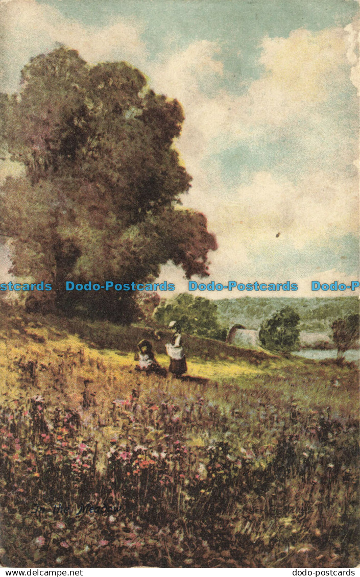 R627244 Two Girls in Flower Meadow. W. and T. Guines