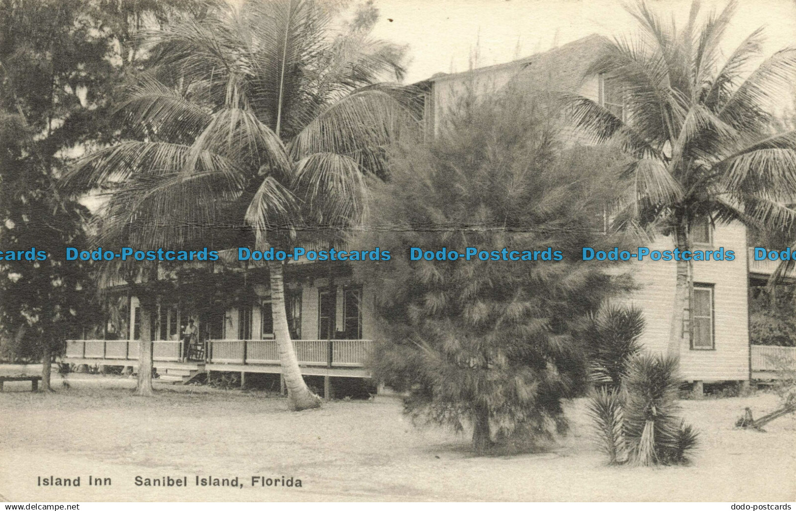 R635727 Florida. Island Inn. Sanibel Island. The Albertype