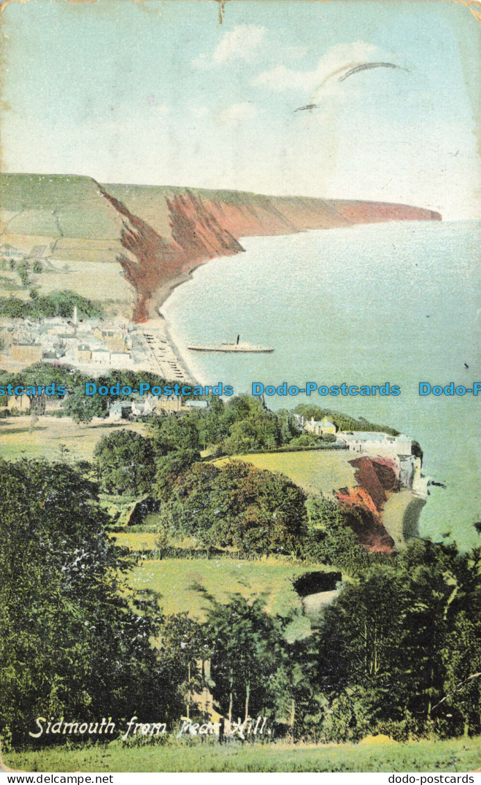 R642503 Sidmouth from Rock Hill. F. Frith. No. 3105 A