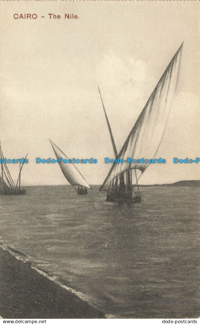 R656269 Cairo. The Nile. Cairo Postcard Trust. Serie 597