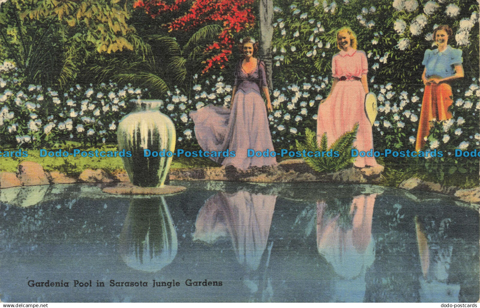 R661623 Gardenia Pool in Sarasota Jungle Gardens. Tichnor Quality Views. Tichnor