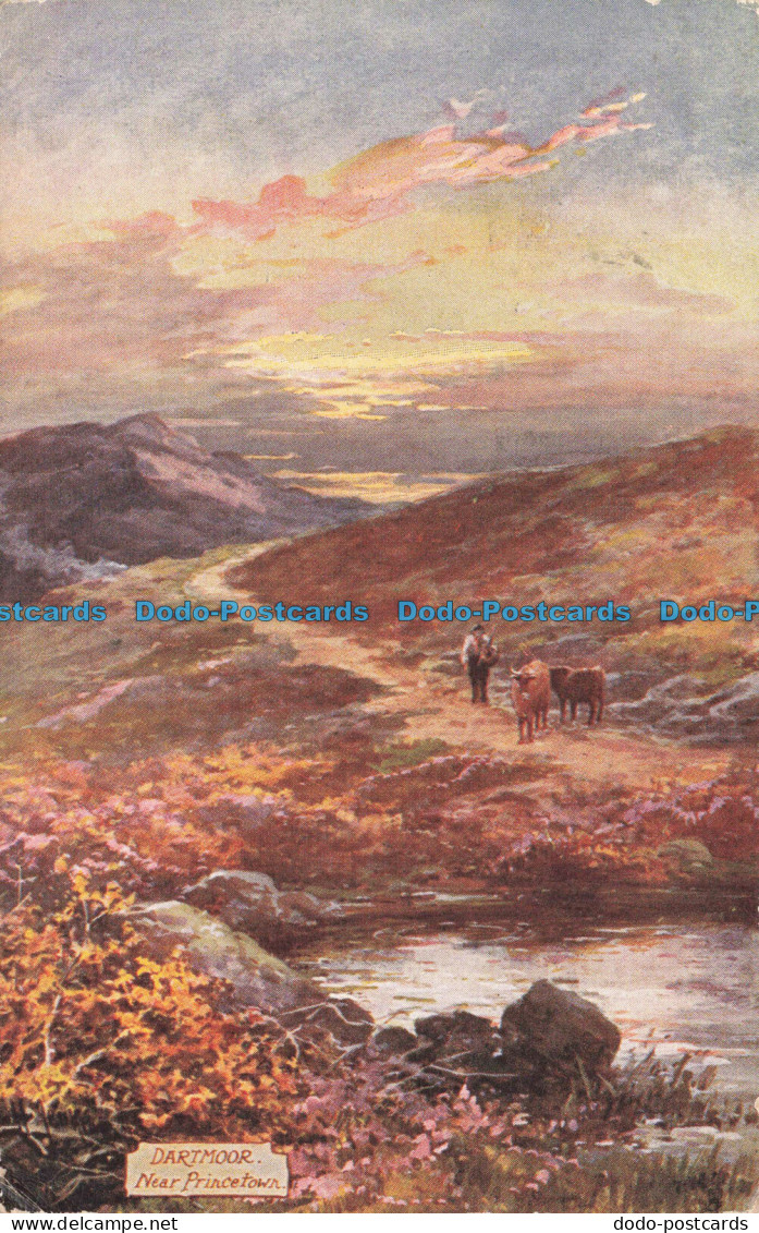 R676364 Dartmoor. Near Princetown. Picturesque Dartmoor. Tuck. Oilette. Series.
