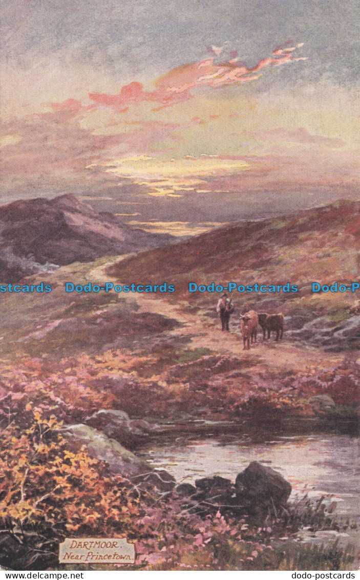 R676470 Dartmoor. Near Princetown. Picturesque Dartmoor. Tuck. Oilette. Series.