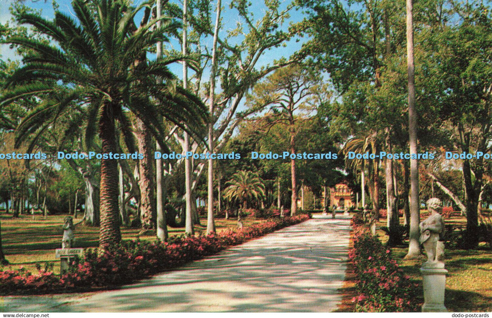 R685063 Fla. Sarasota. Azaleas Along Drive Leading To Ringling Residence. Russel