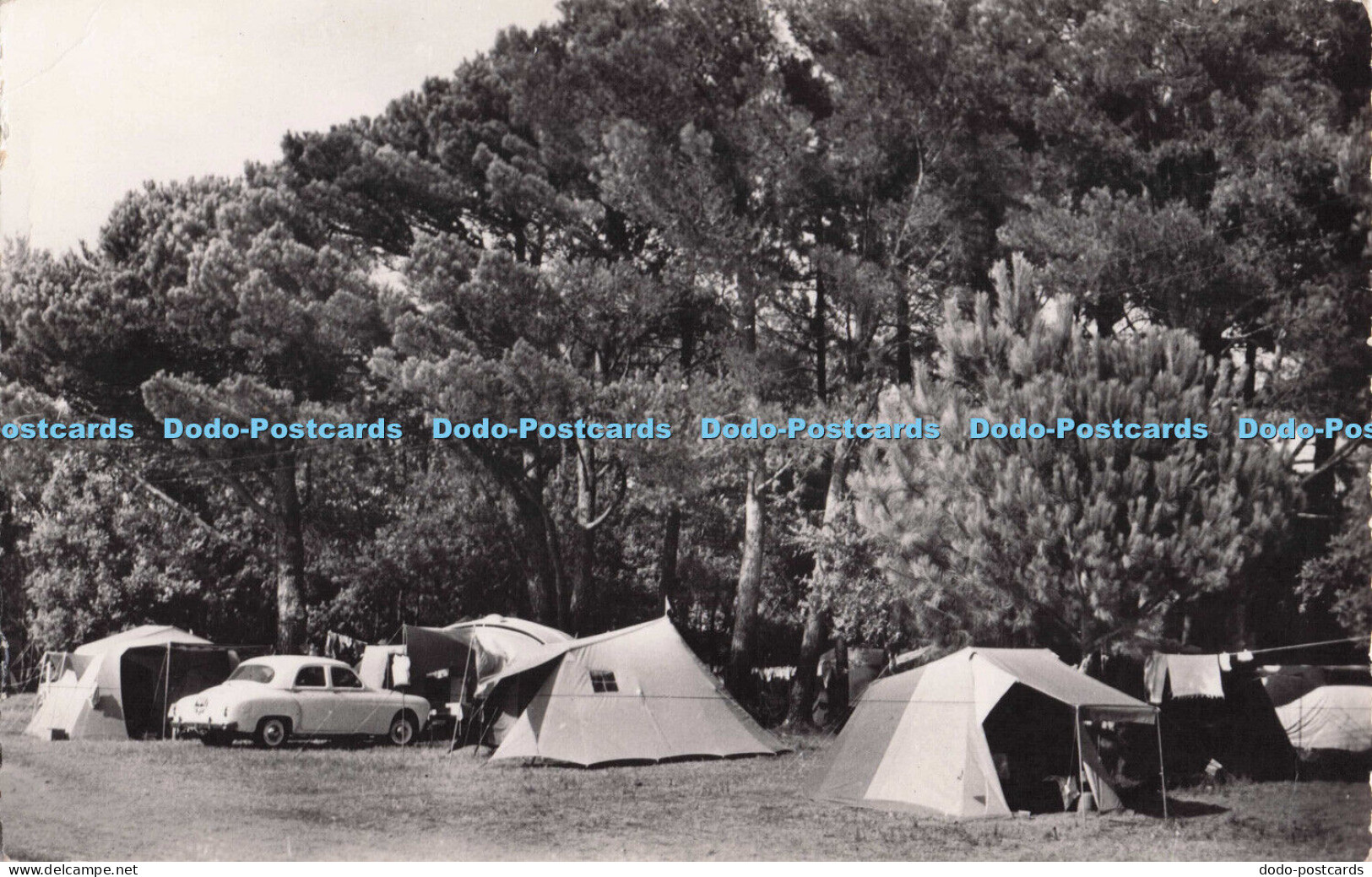 R699997 Saint Aygulf. Var. Le Camping. Mar. RP. 1962