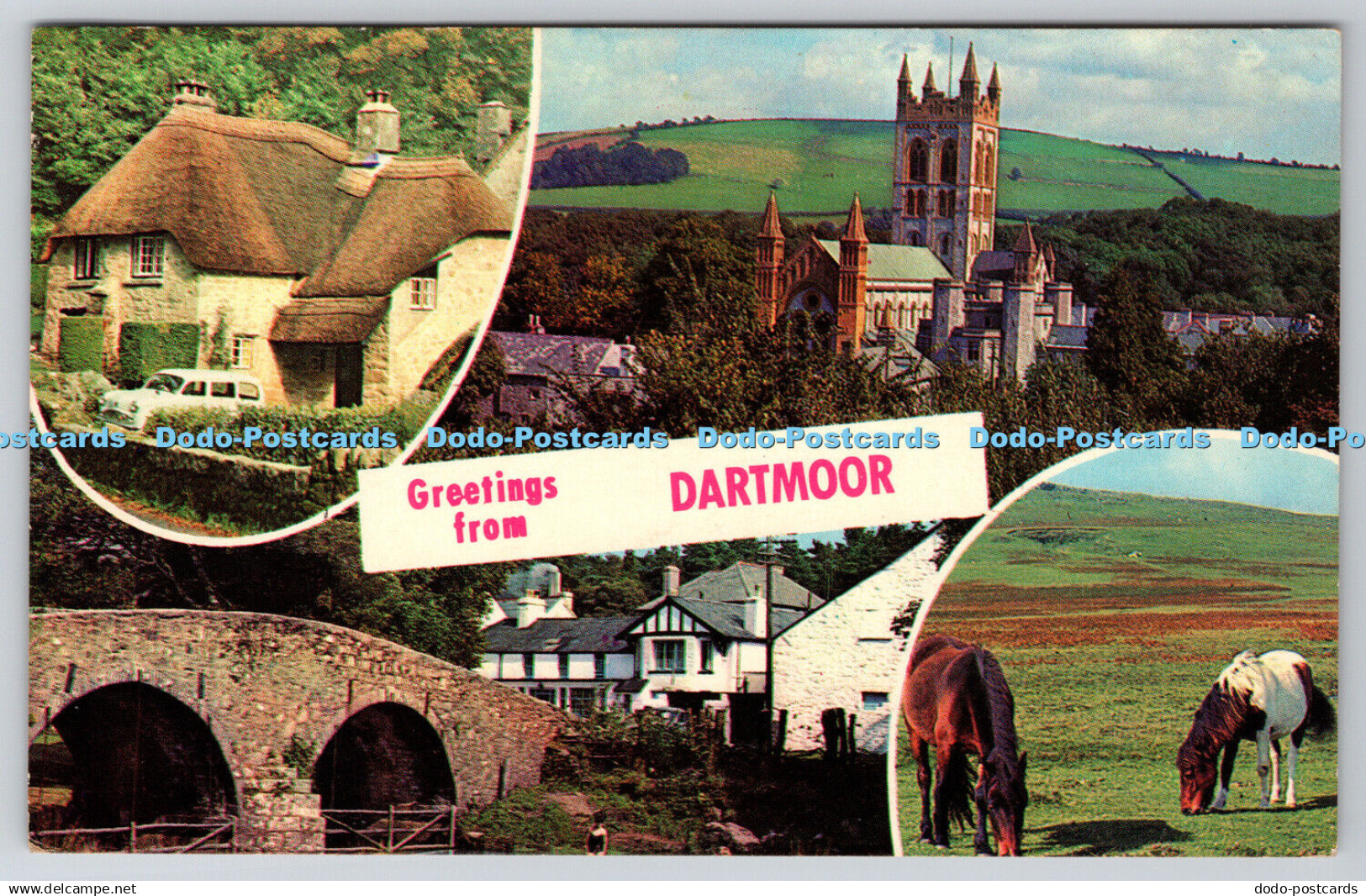 R745061 Greetings from Dartmoor Dartmoor Ponies Two Bridges Two Counties Match C