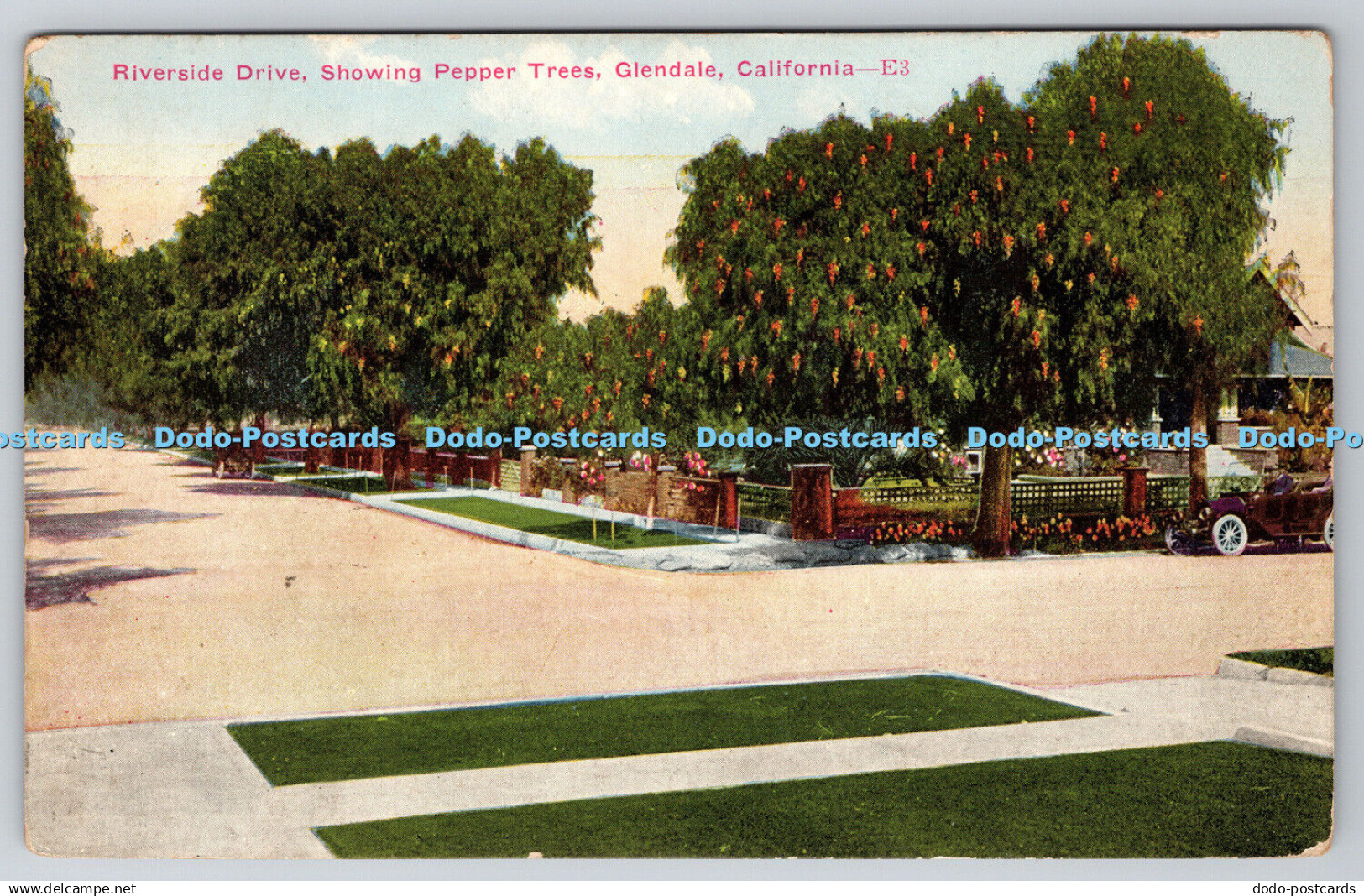 R746699 California Glendale Riverside Drive Showing Pepper Trees Pacific Novelty