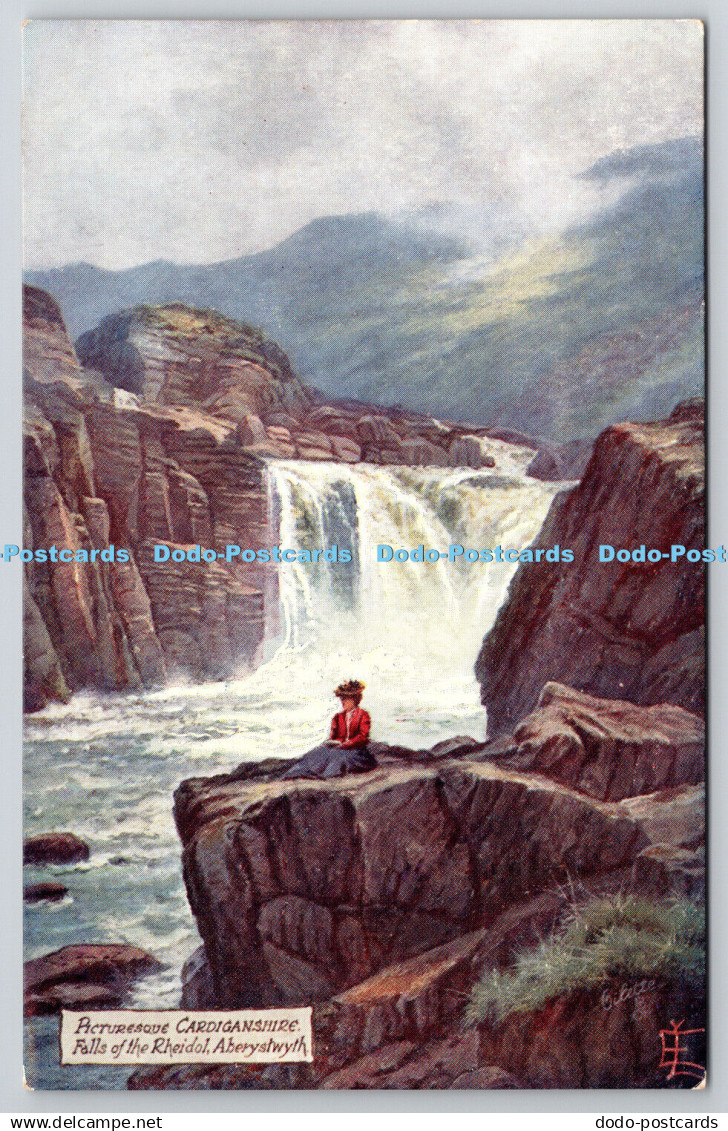 R752970 Picturesque Cardiganshire Aberystwyth Falls of the Rheidol Tuck Oilette