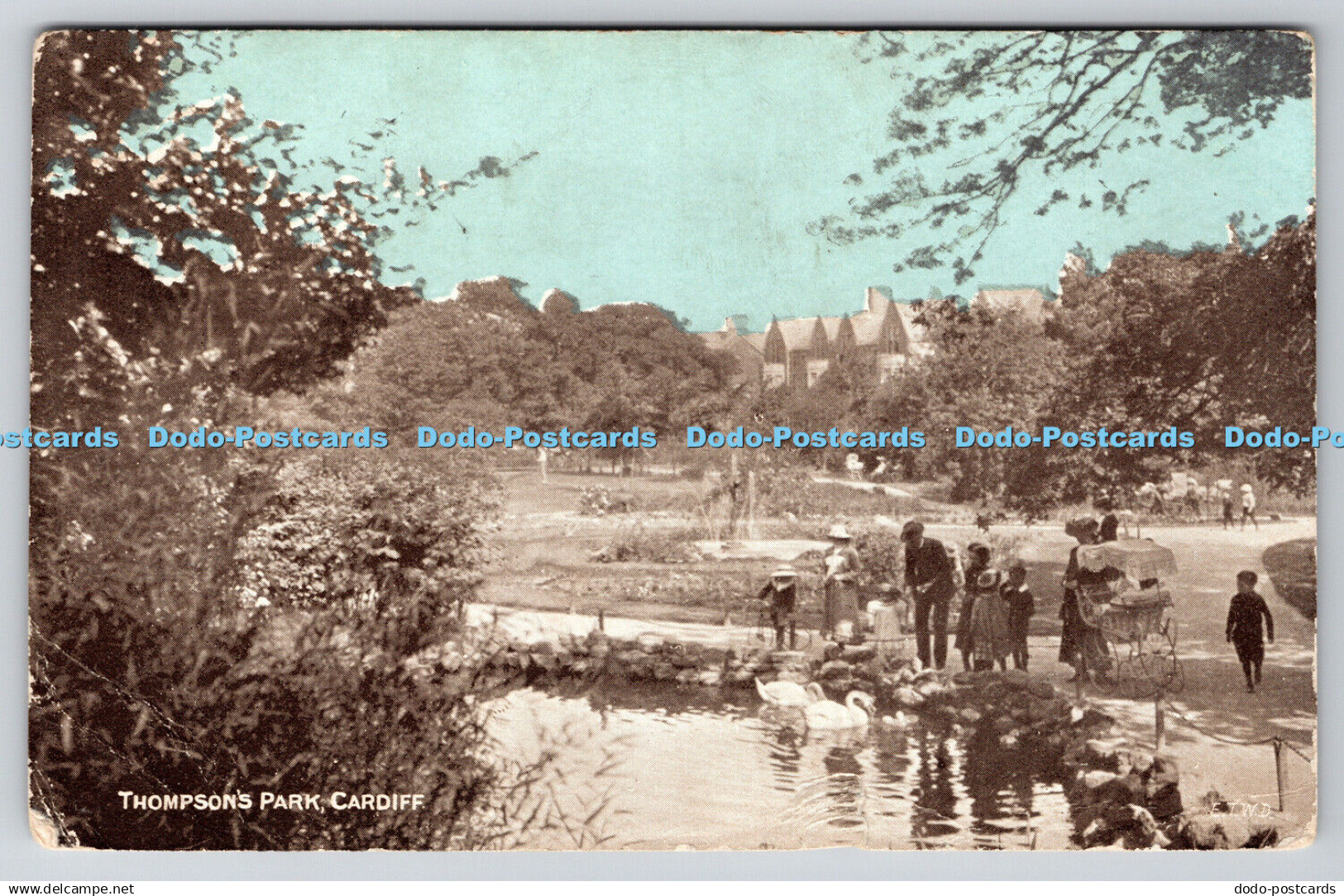R753405 Cardiff Thompson Park Dainty Series 1905