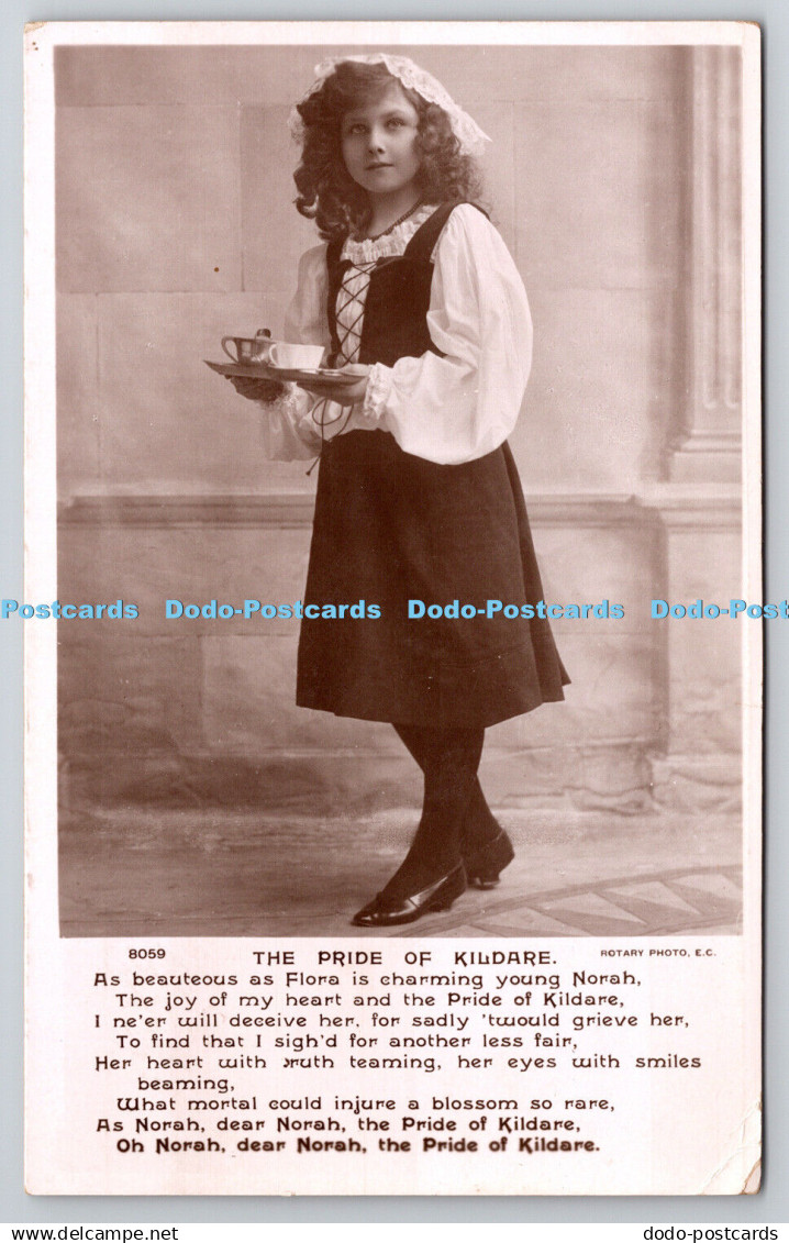 R758419 The Pride of Kildare Rotary Photo Postcard 1905