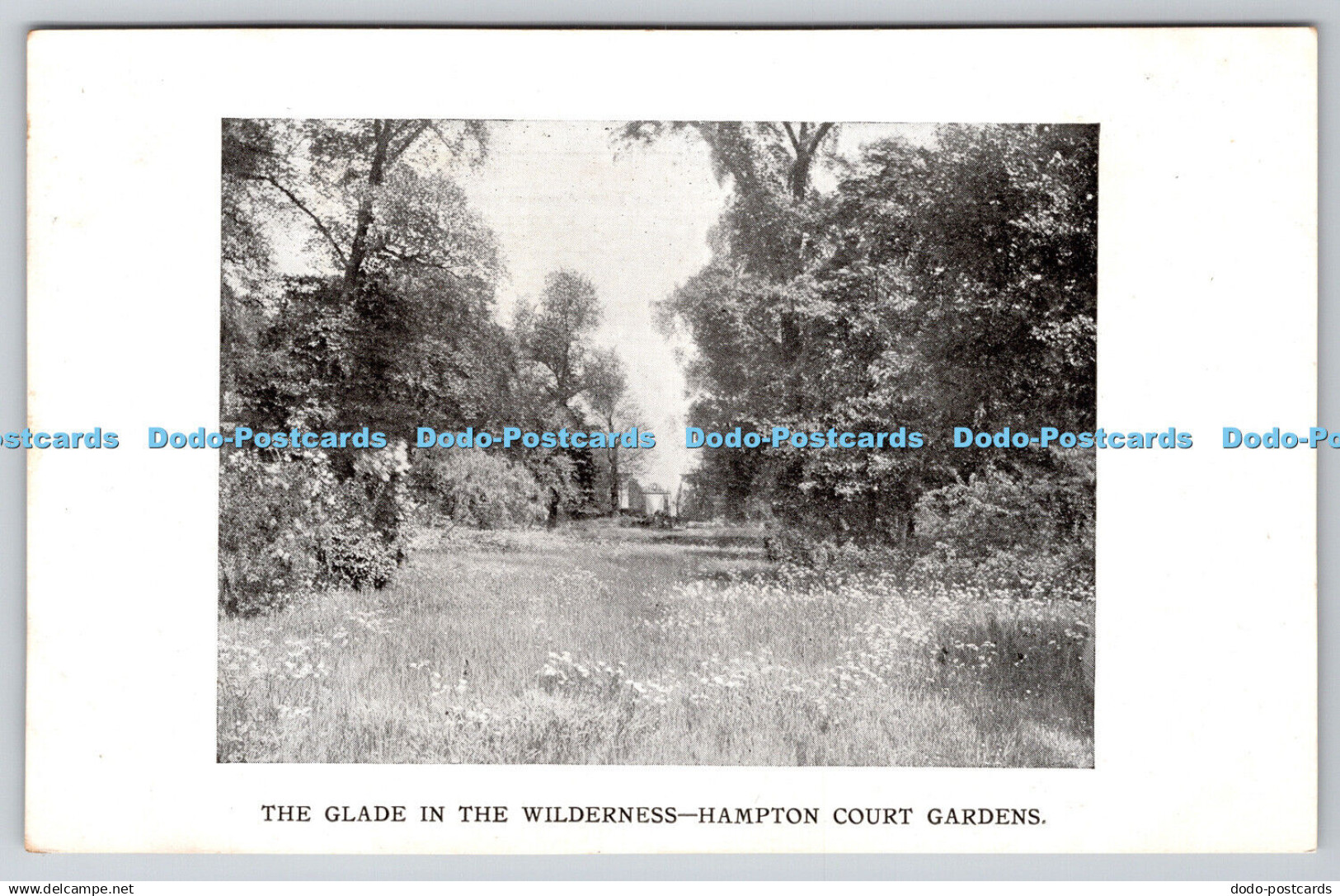 R766779 Hampton Court Palace The Glade in the Wilderness