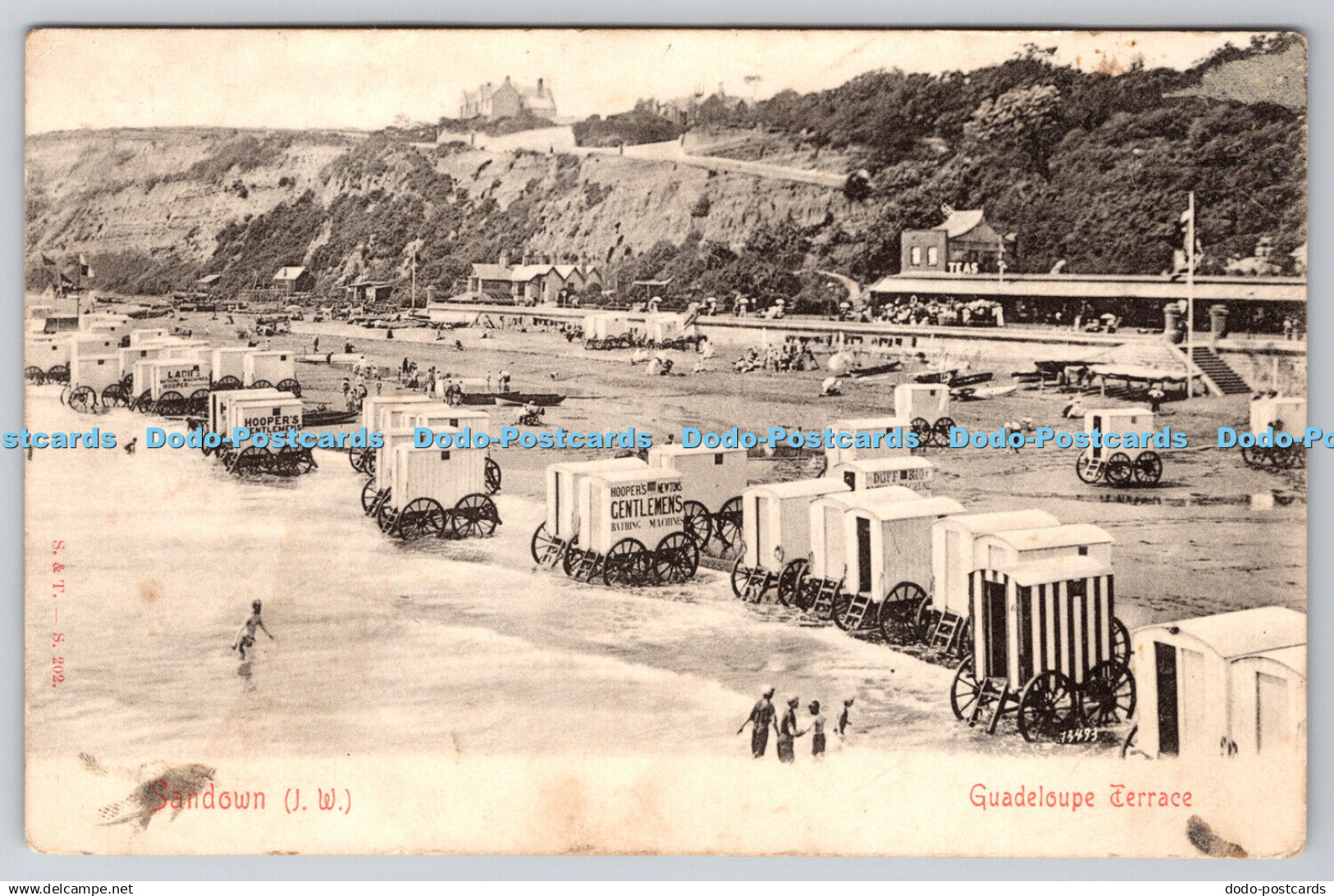 R767577 I W Sandown Guadeloupe Terrace 1904