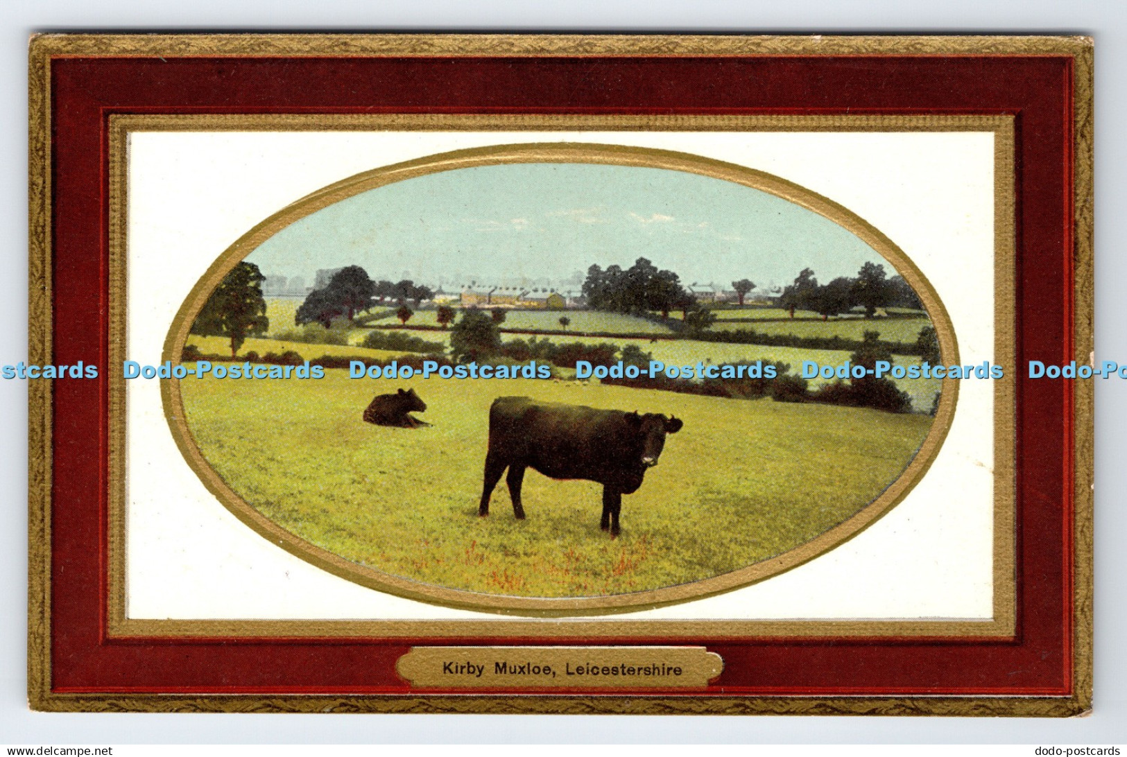 R779402 Kirby Muxloe Leicestershire Cows T E S L Series