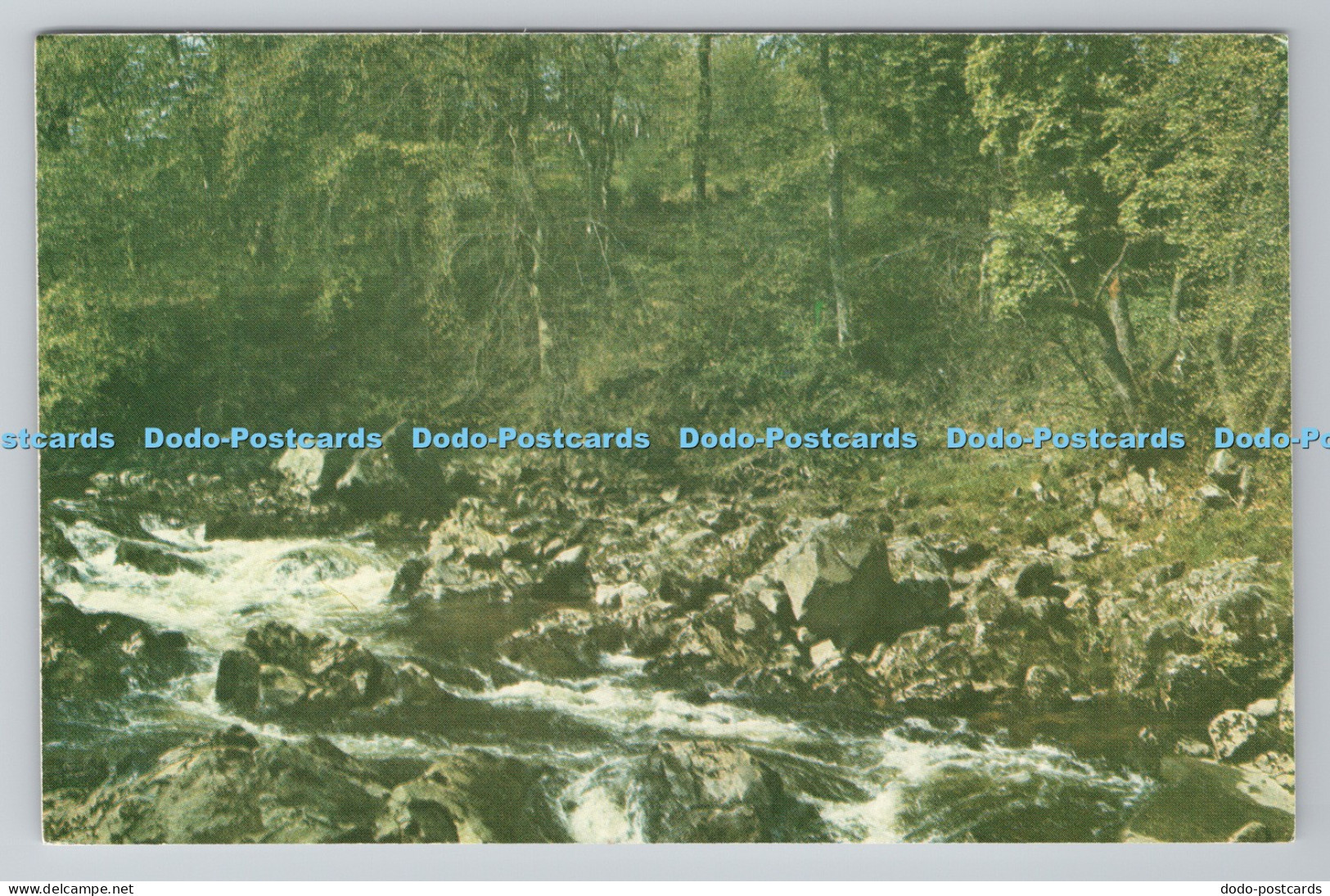 R782114 Kincardineshire Falls of Feugh J Barton Aberdeen Gt Yarmouth