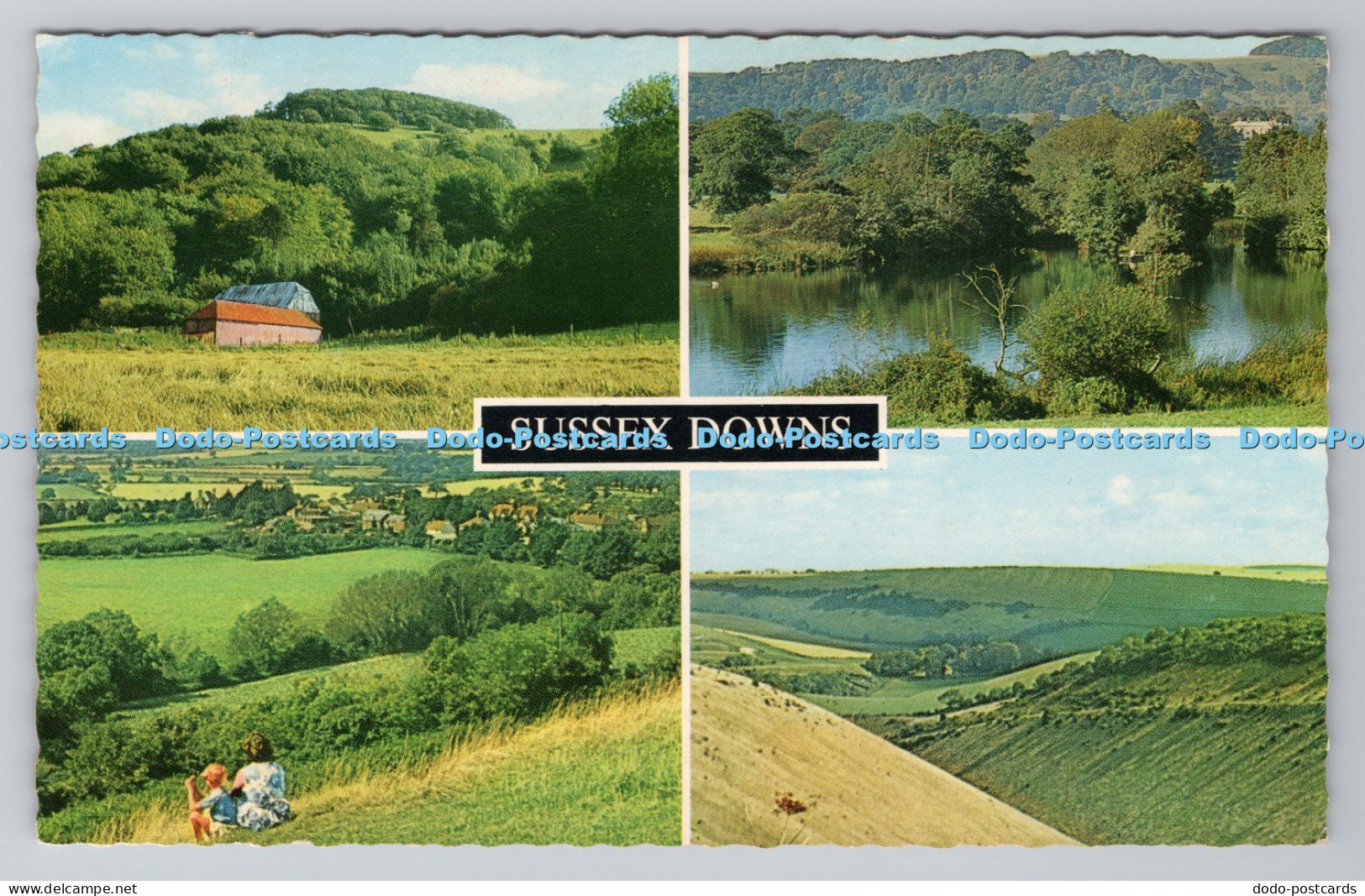 R783233 Sussex Downs Wiston Lake D Constance Littlehampton Sussex Multi View