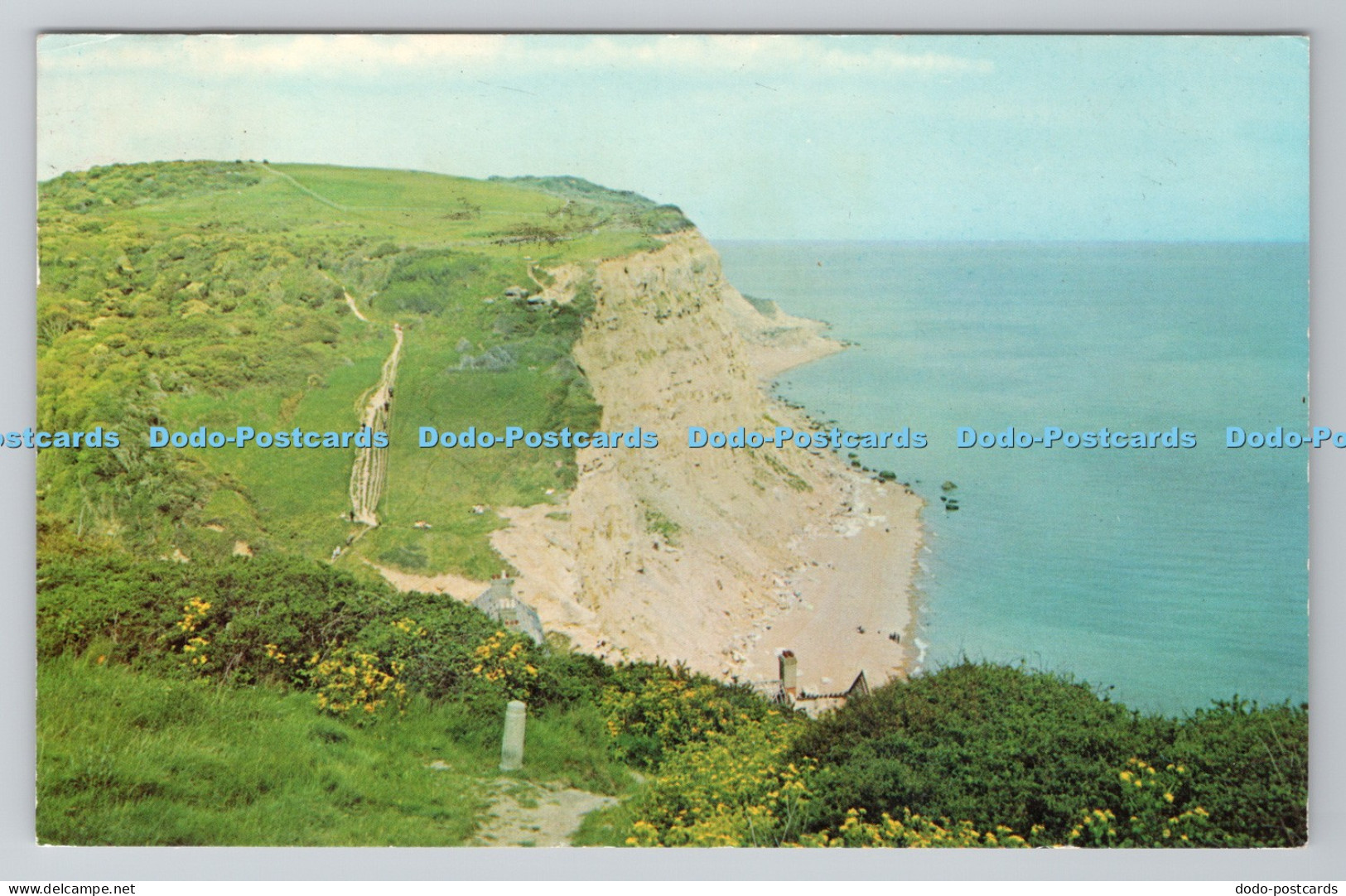 R783645 Hastings Ecclesbourne Cliffs PM Hastings Sussex 1969