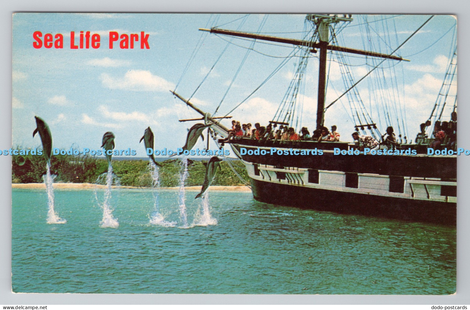 R783891 Oahu Hawaii Sea Lile Park Mike Roberts Movie Supply of Hawaii