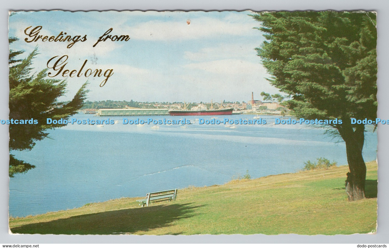R784235 Greetings From Geelong Victoria H L Chapman