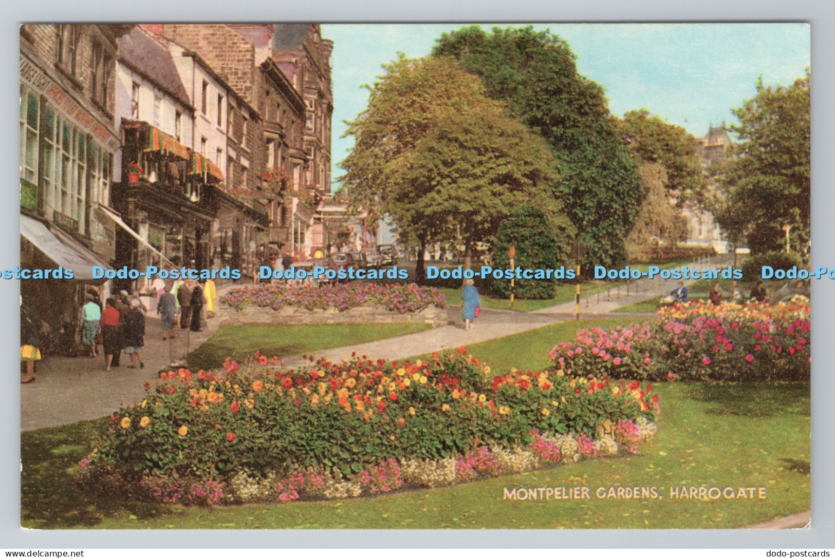 R786507 Harrogate Montpelier Gardens J Salmon Sevenoaks