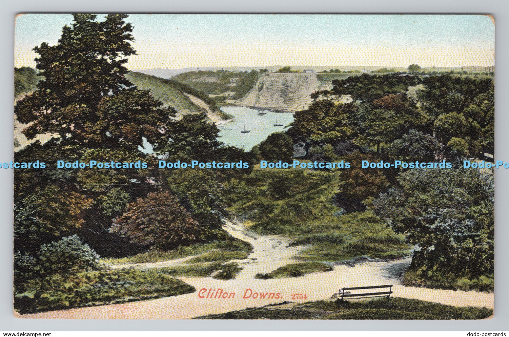 R805181 Clifton Downs. Postcard