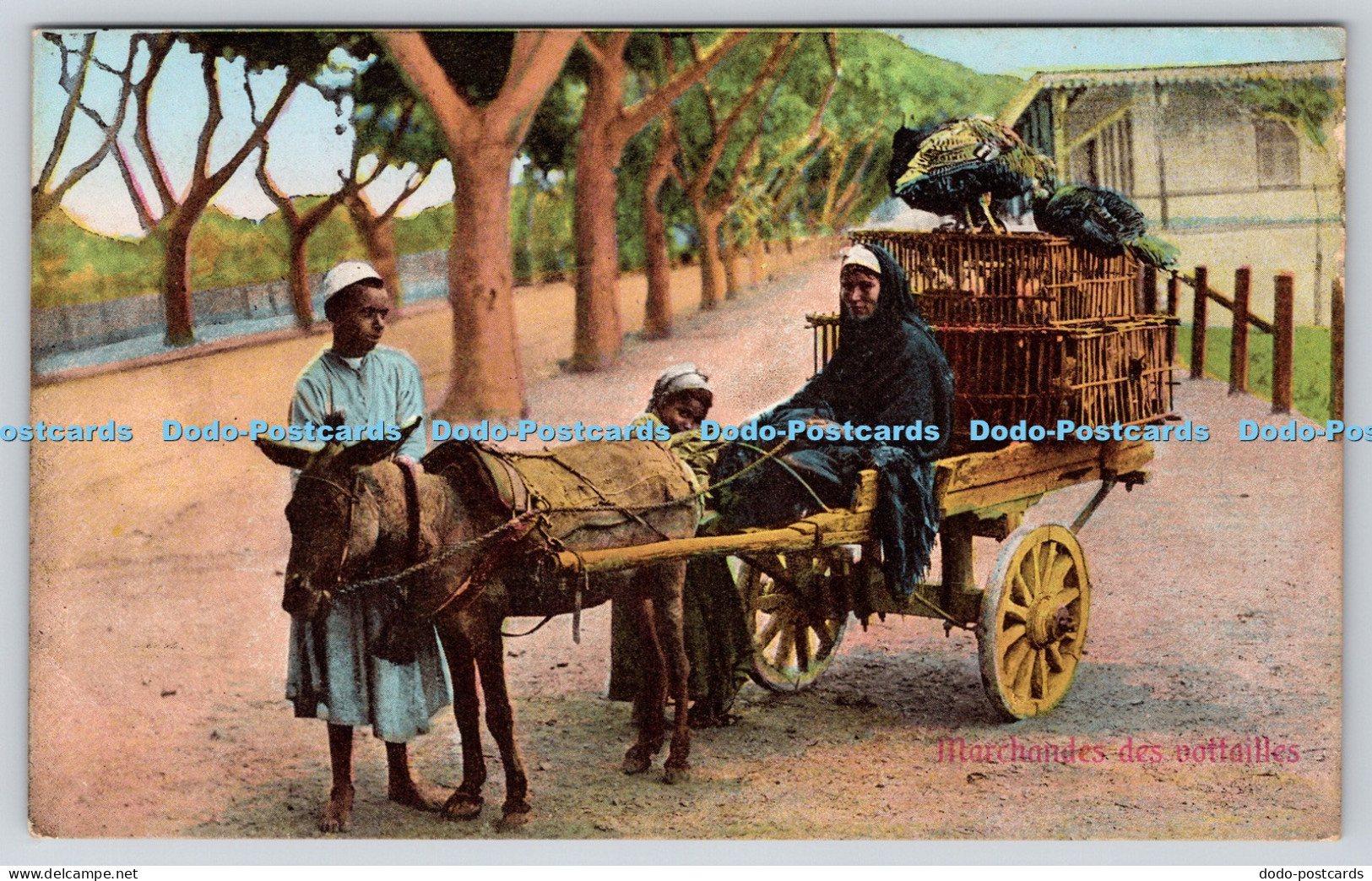 R816716 Marchandes des Vottailles The Cairo Postcard Trust Cairo