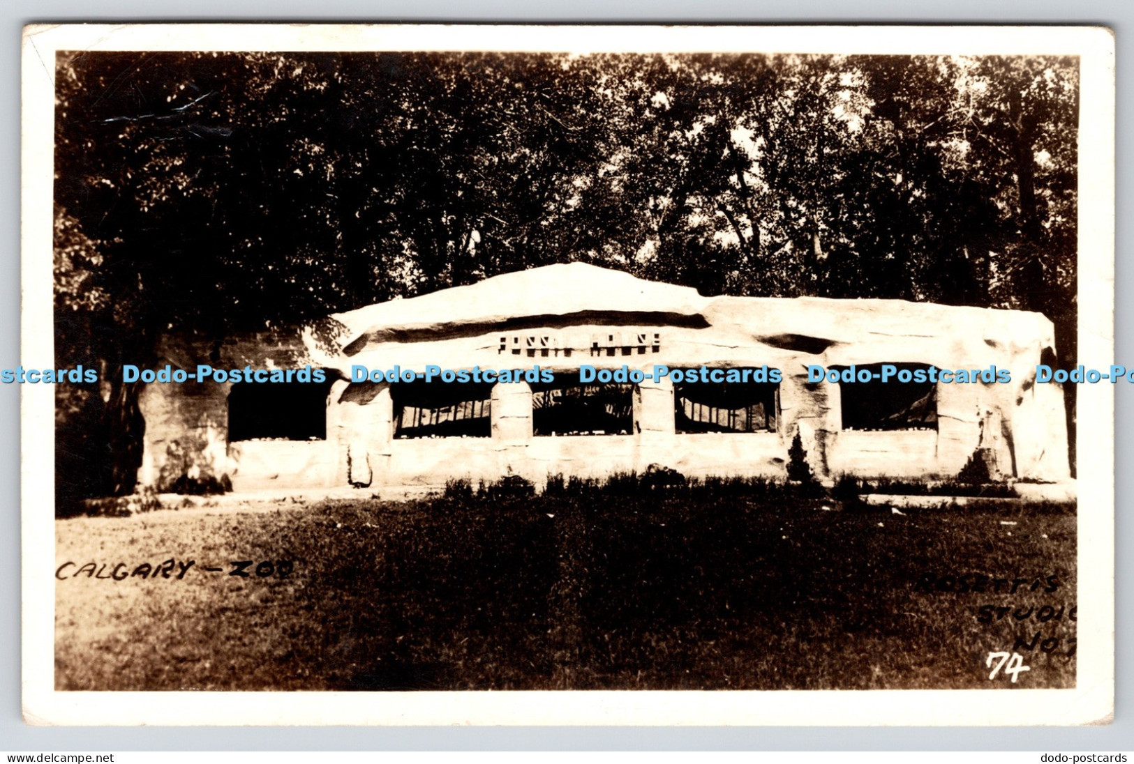 R818868 Calgary Zoo. Postcard