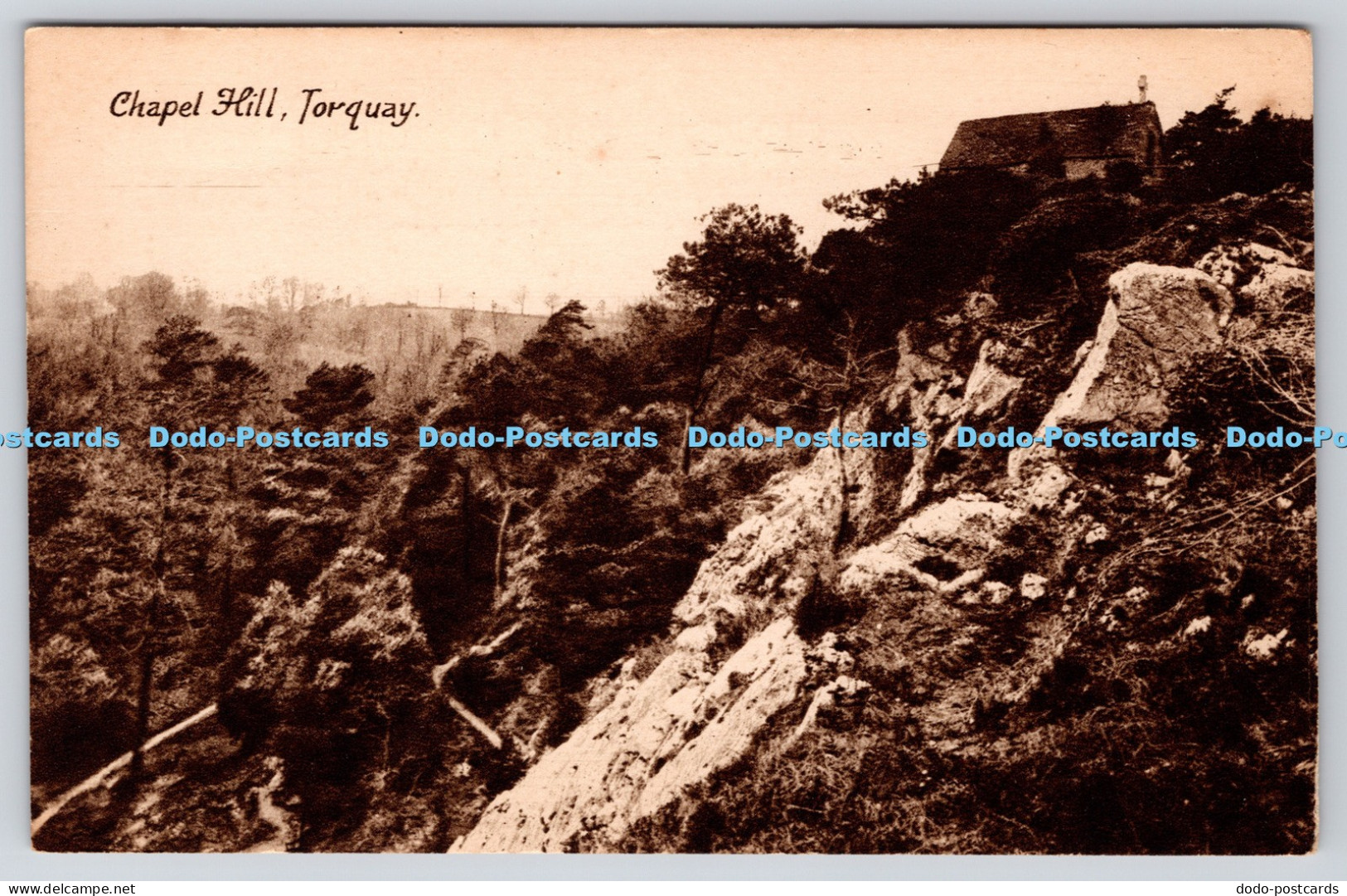 R819127 Torquay. Chapel Hill. E. Hardman