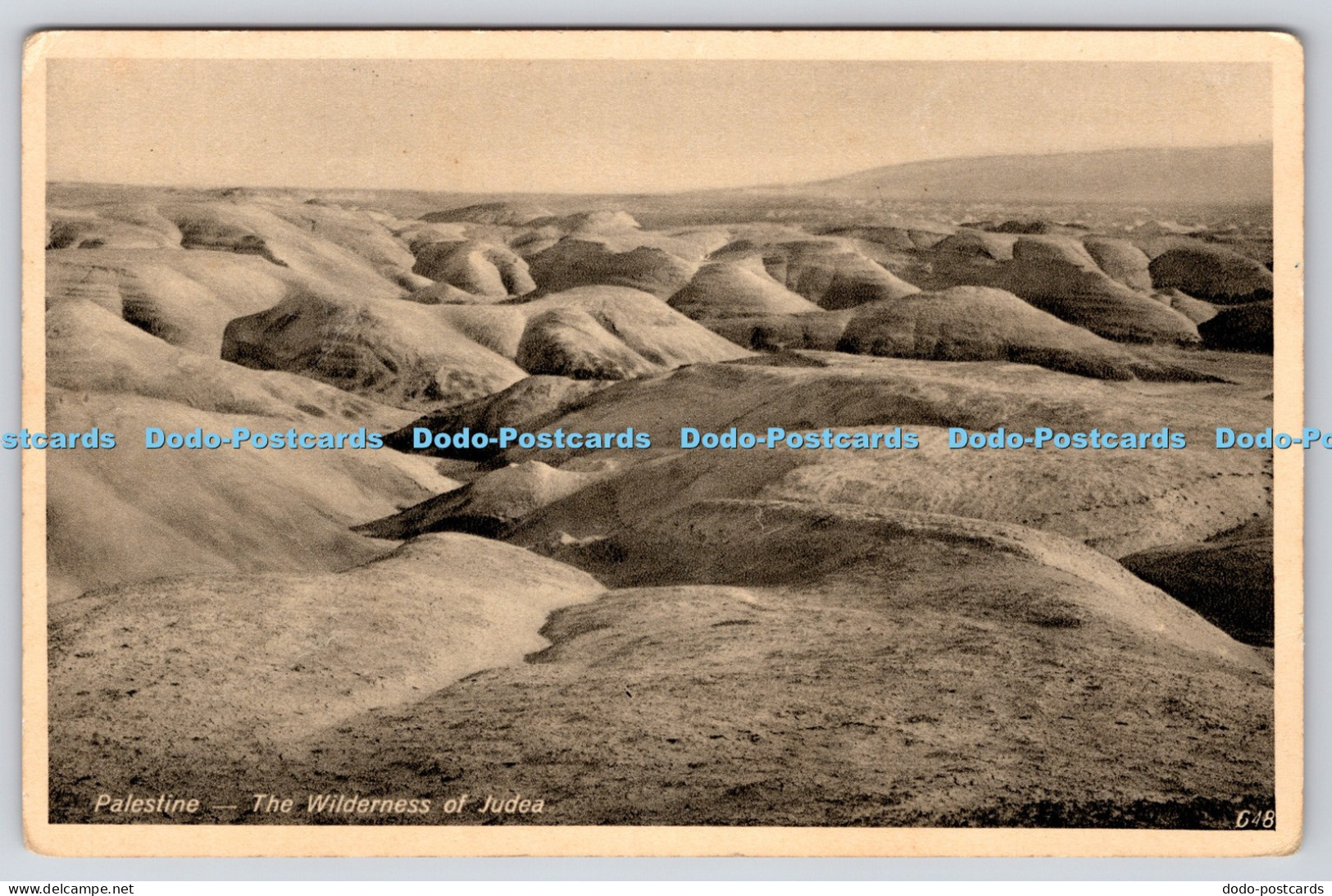 R819197 Palestine. The Wilderness of Judea. The Oriental Commercial