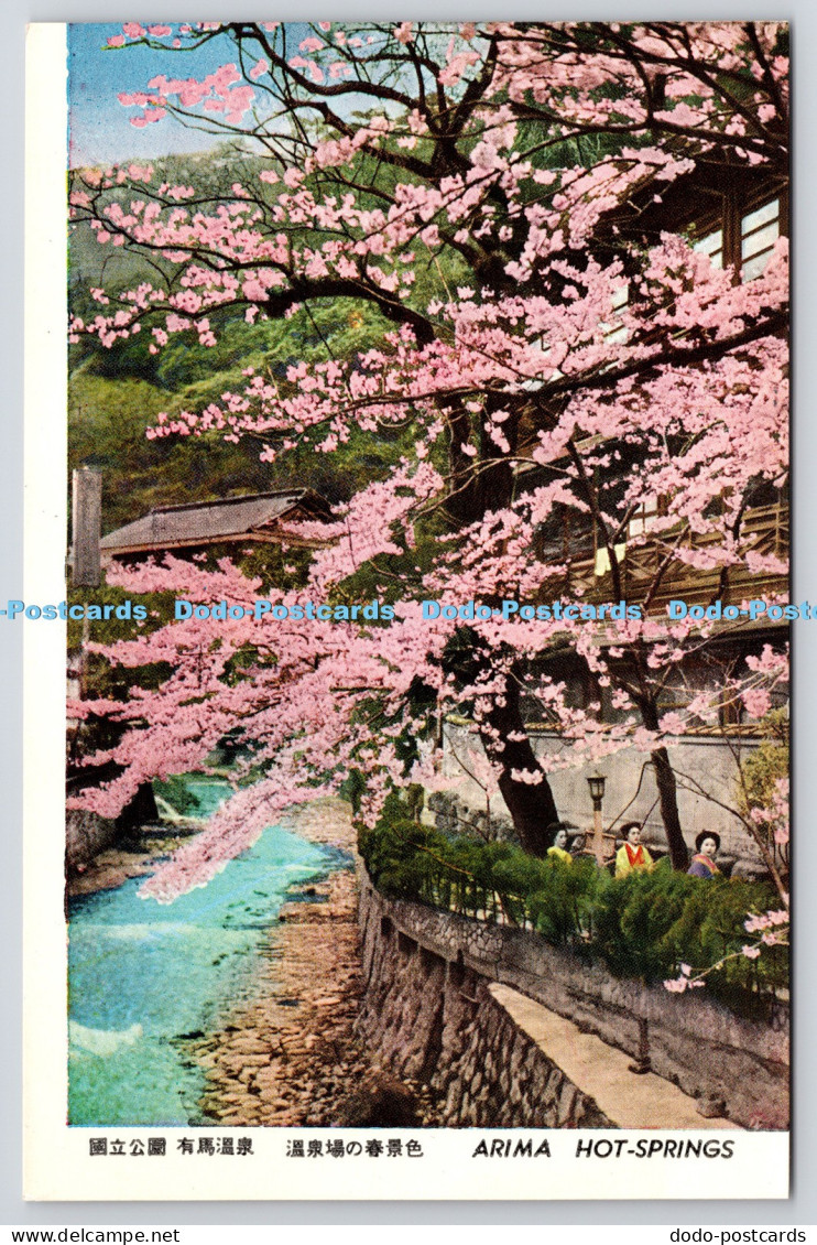 R820681 Arima Hot Springs