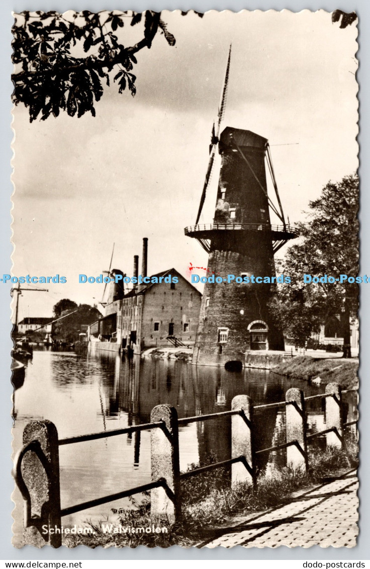 R821049 Schiedam Walvismolen 1956