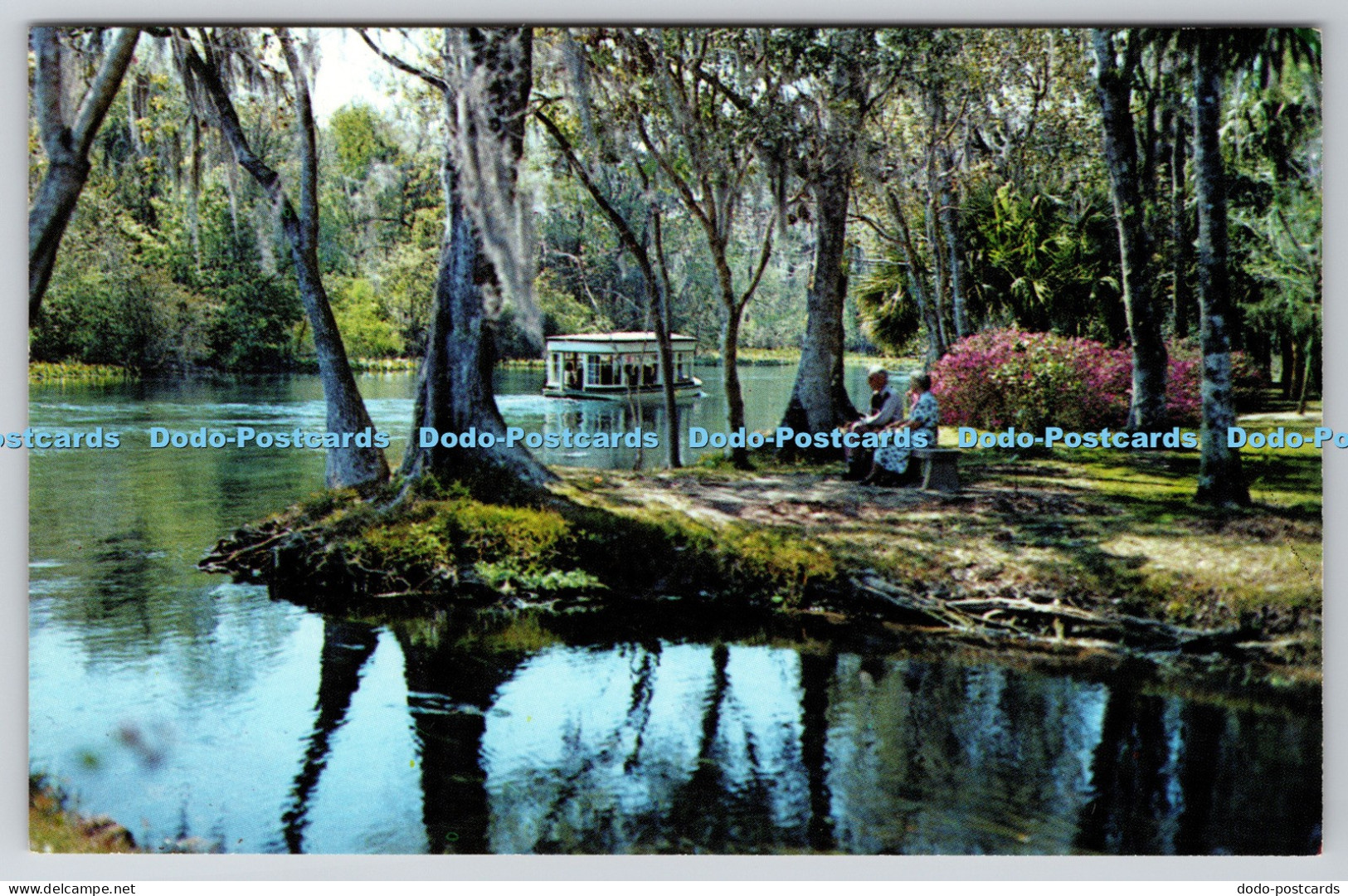 R821602 A Beautiful Florida Scene A Long Silver River in Famous Silver Springs F