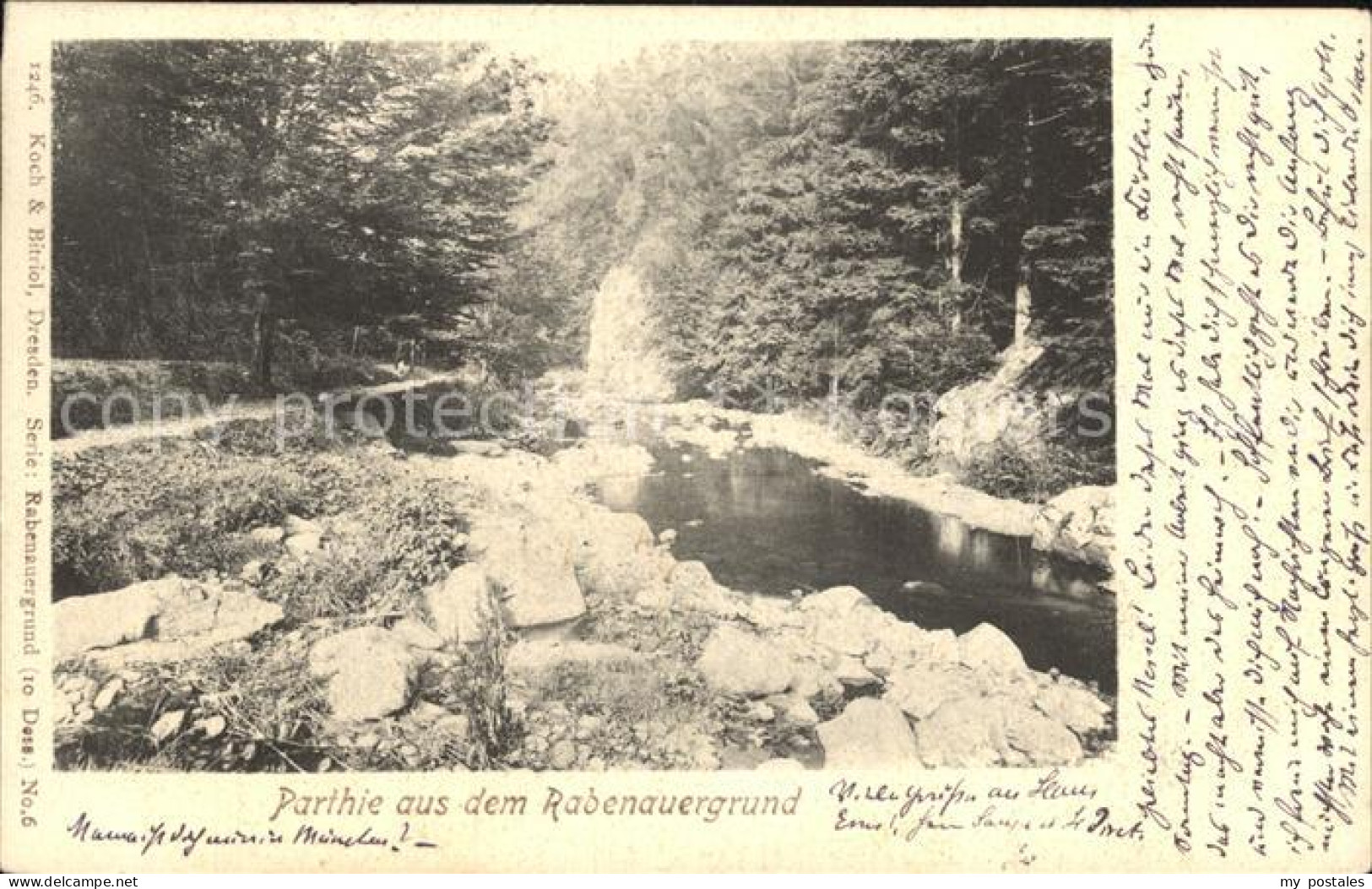 Rabenau Sachsen Rabenauergrund Bachlauf