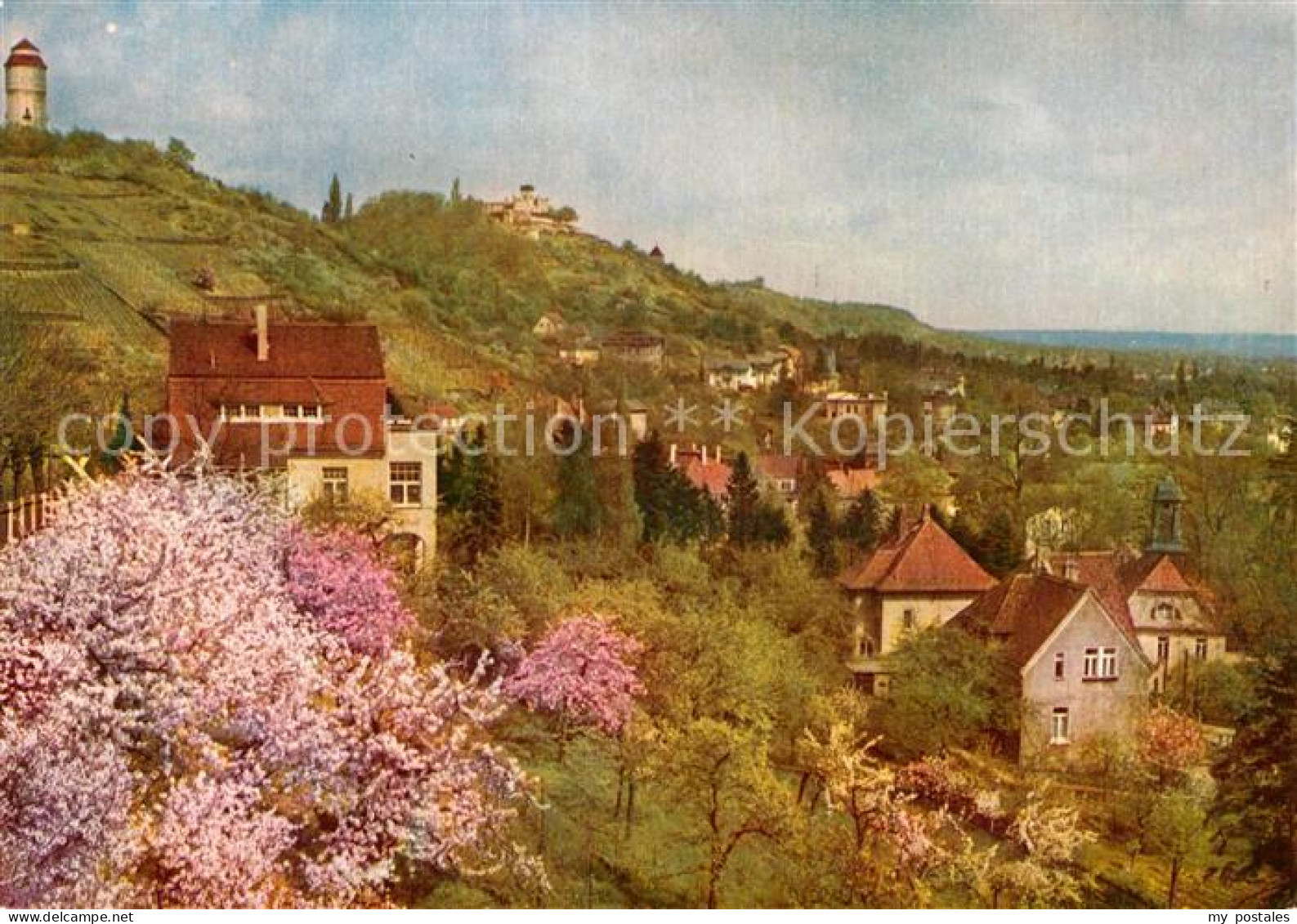 Radebeul Friedensburg und Wasserturm Bluehende Loessnitz