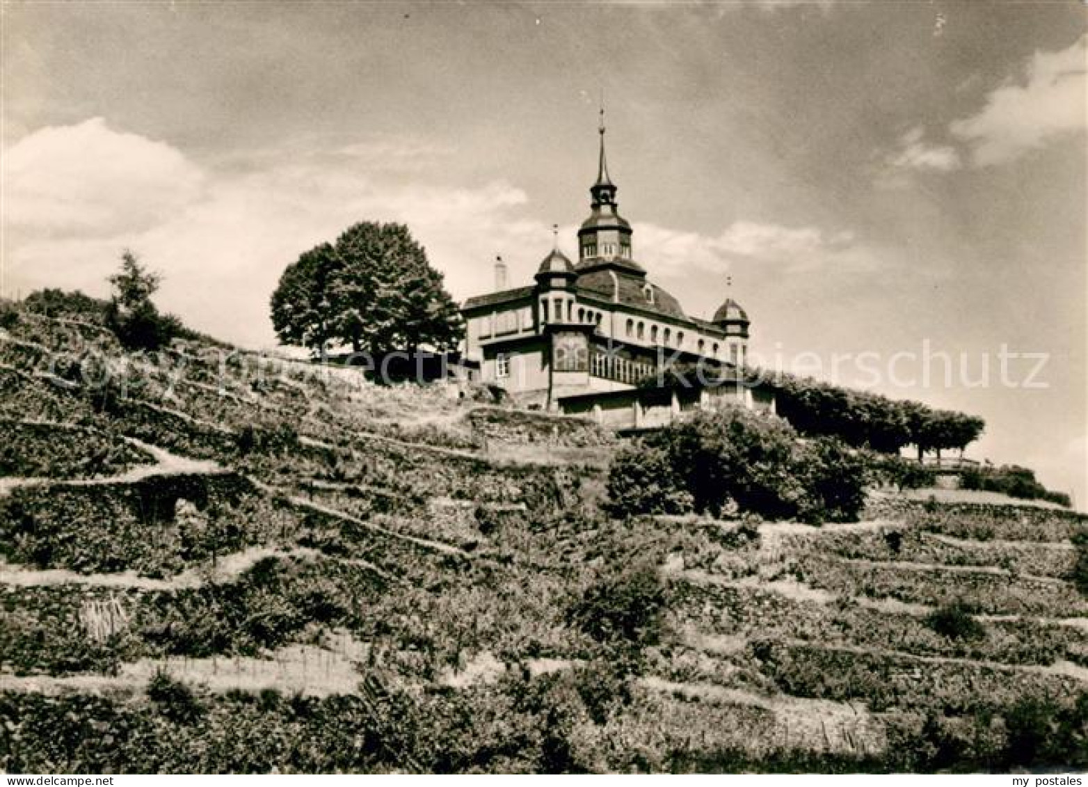 Radebeul Spitzhaus