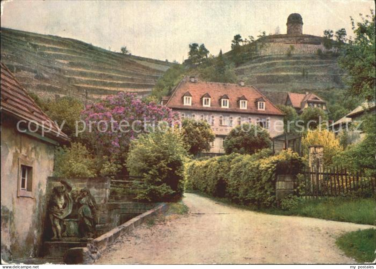 Radebeul Volksweingut