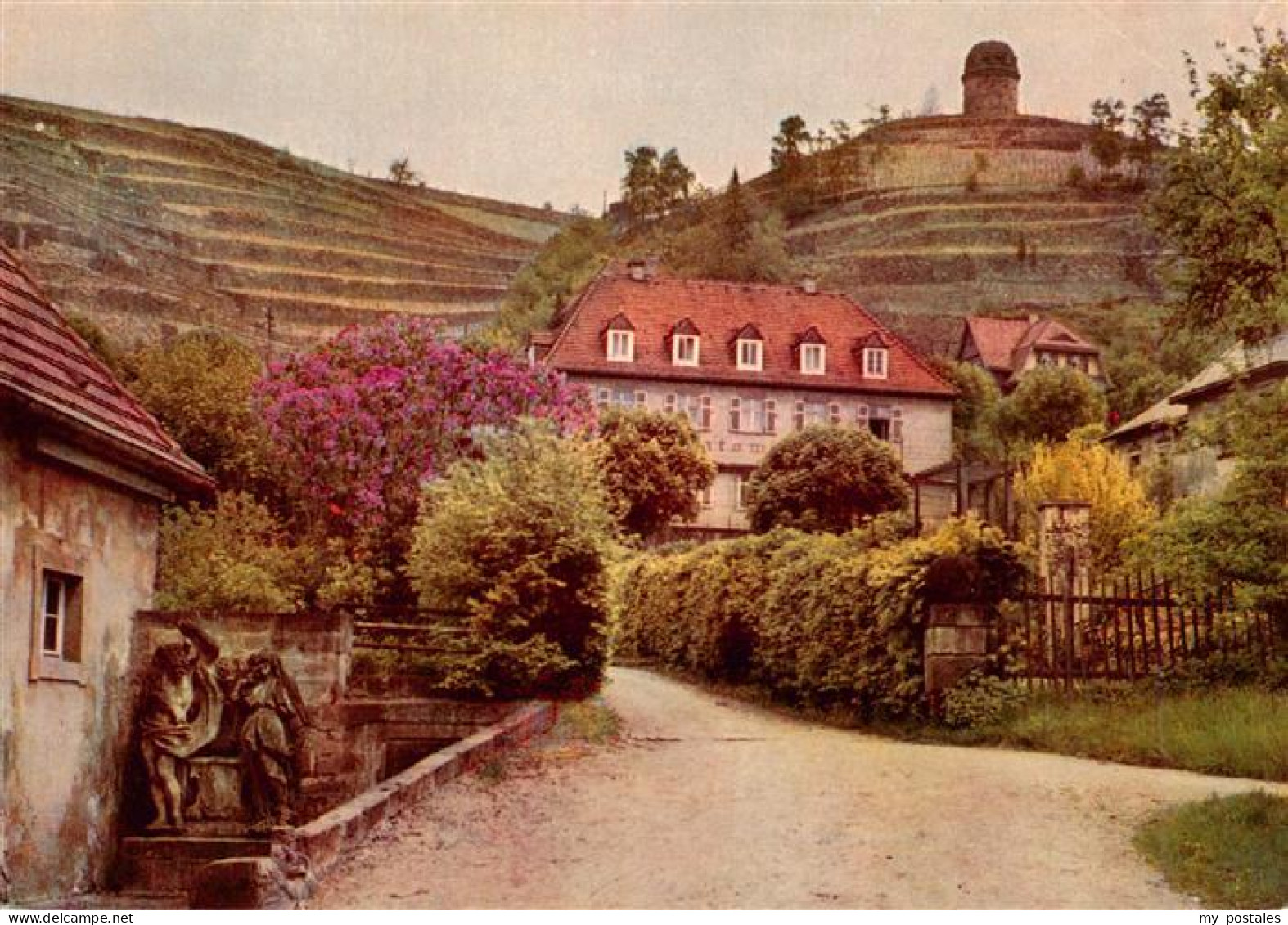 Radebeul Volksweingut Die Loessnitz blueht