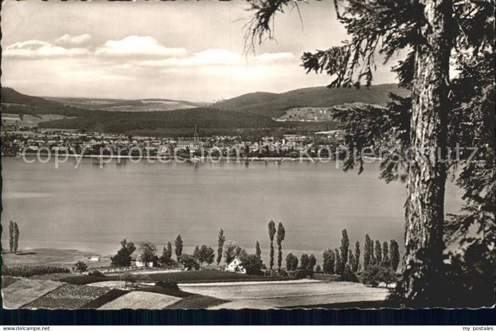 Radolfzell Bodensee