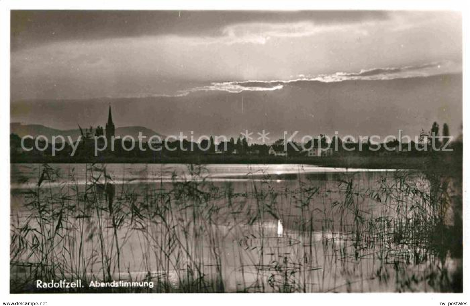 Radolfzell Bodensee Abendstimmung