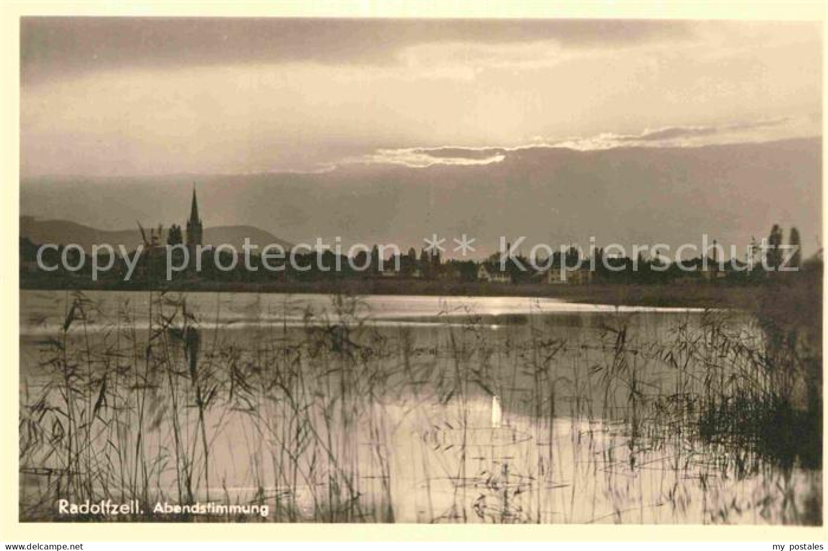 Radolfzell Bodensee Abendstimmung