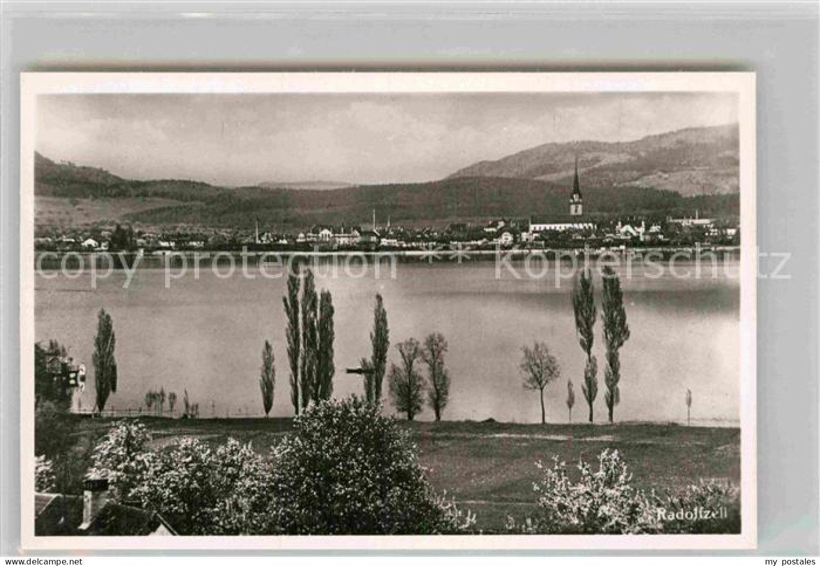Radolfzell Bodensee Panorama