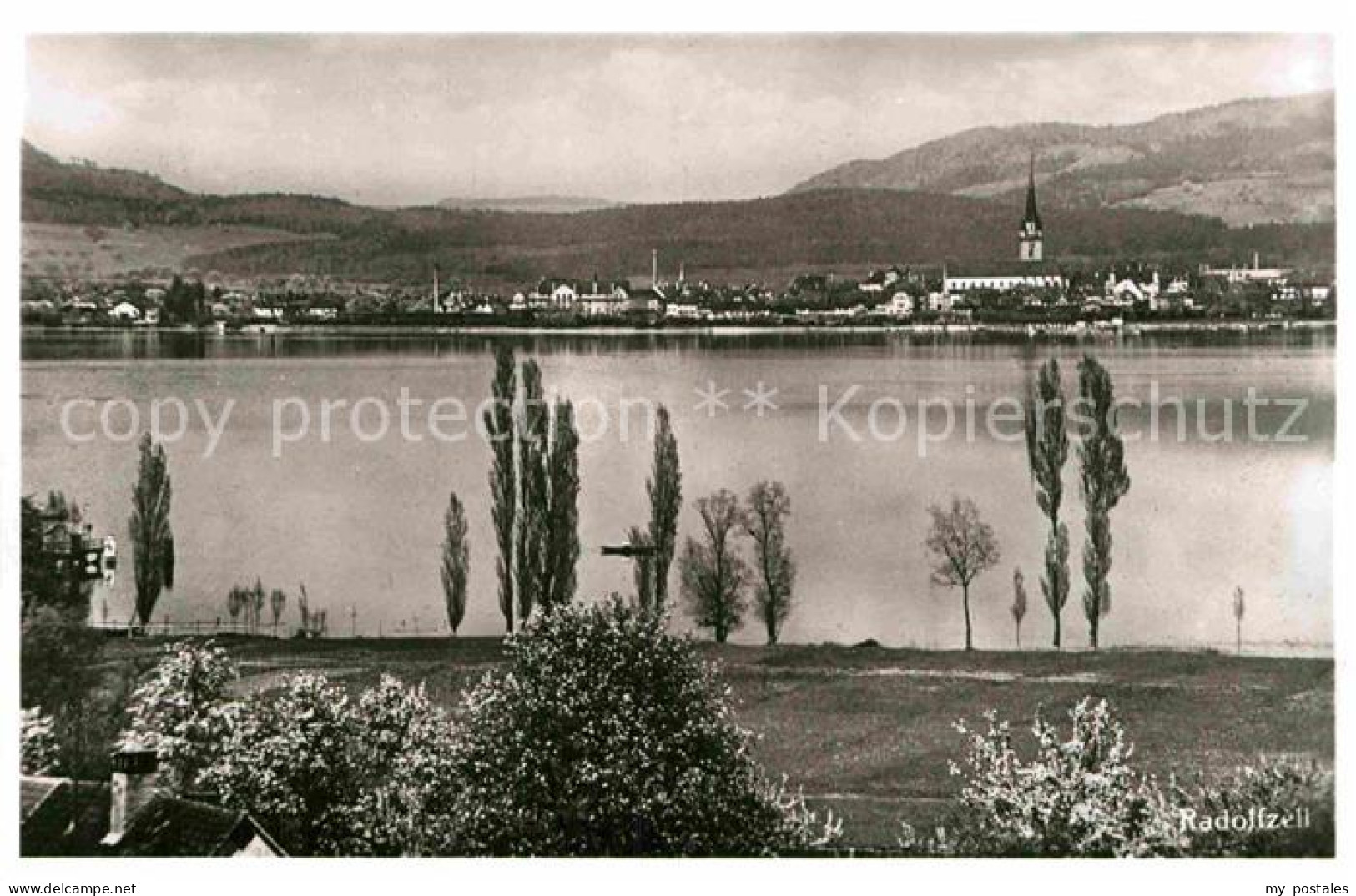 Radolfzell Bodensee Panorama