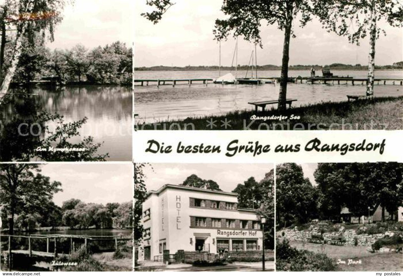 Rangsdorf Park Hotel See Nymphensee