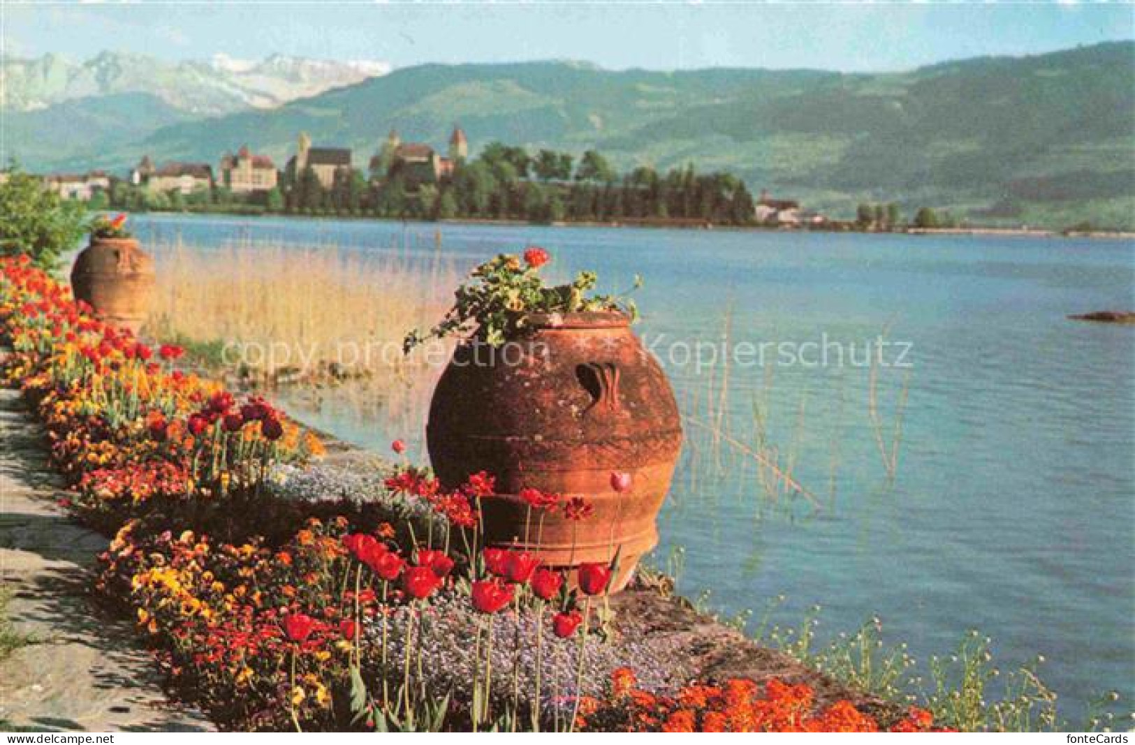 Rapperswil -Jona Rapperswyl Zuerichsee SG Panorama